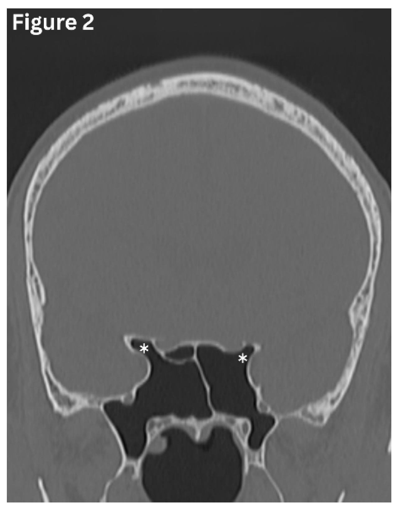 Preprints 191434 g002