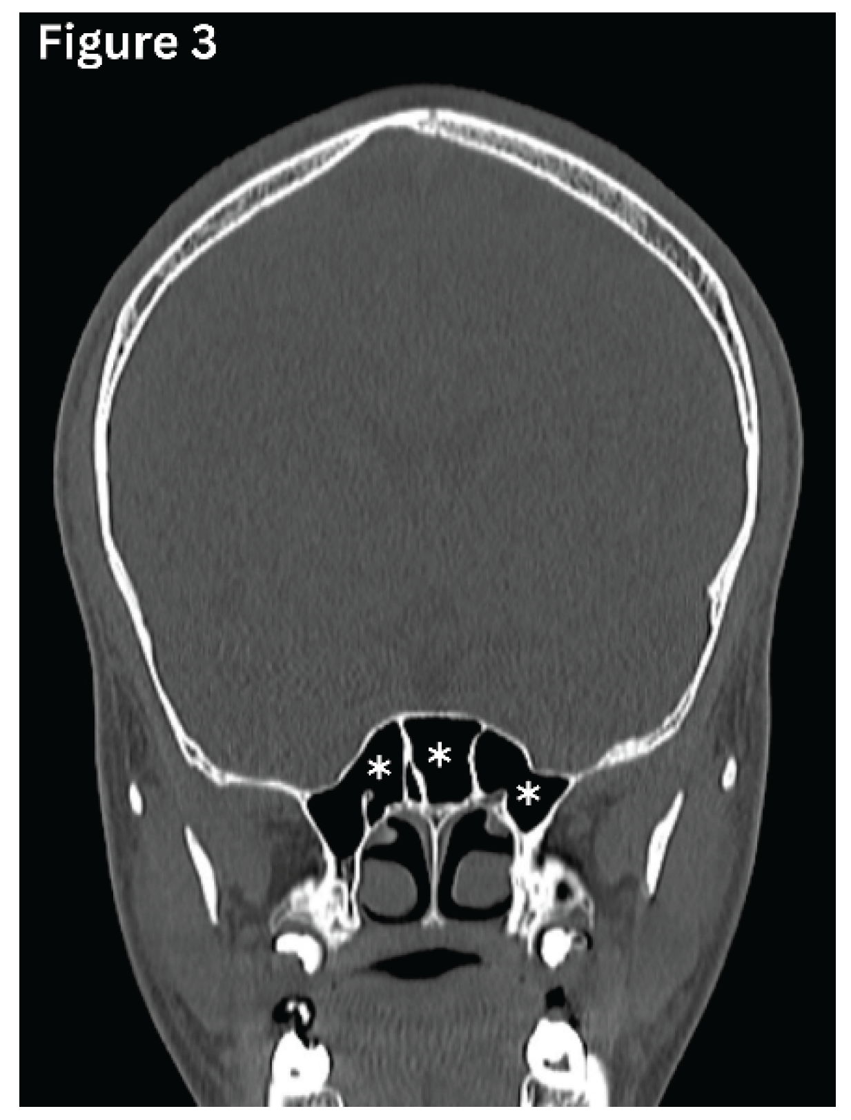 Preprints 191434 g003
