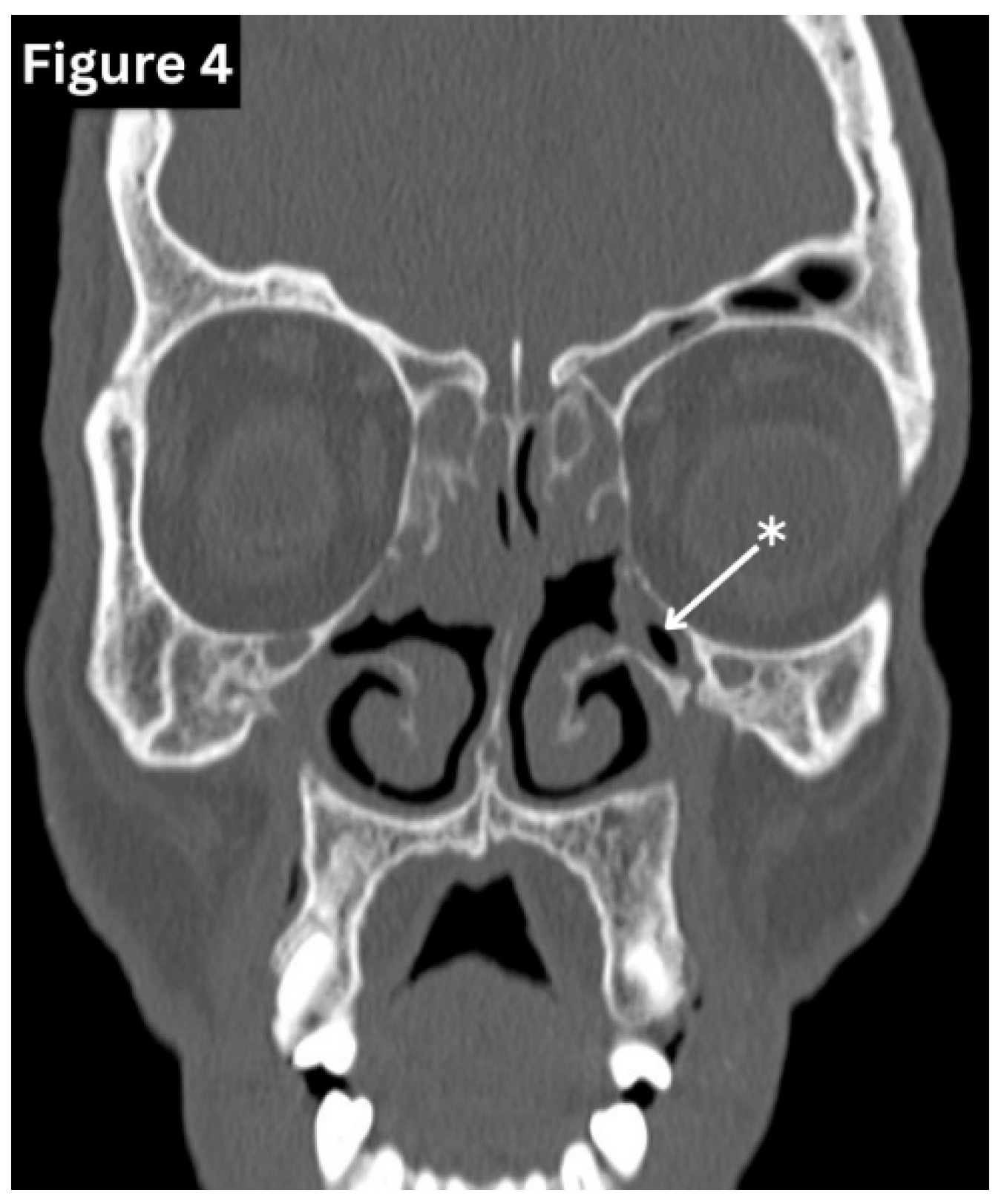 Preprints 191434 g004