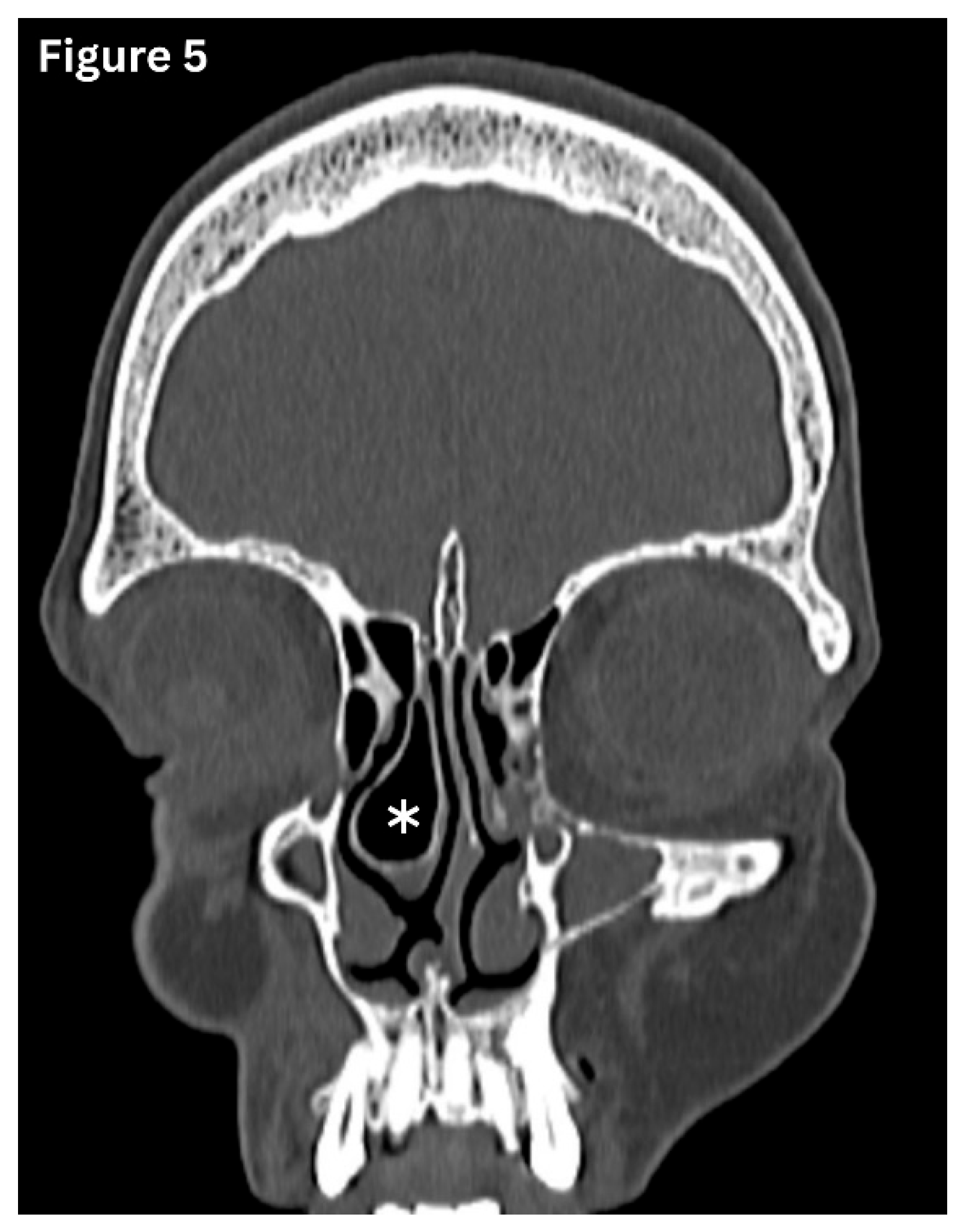 Preprints 191434 g005