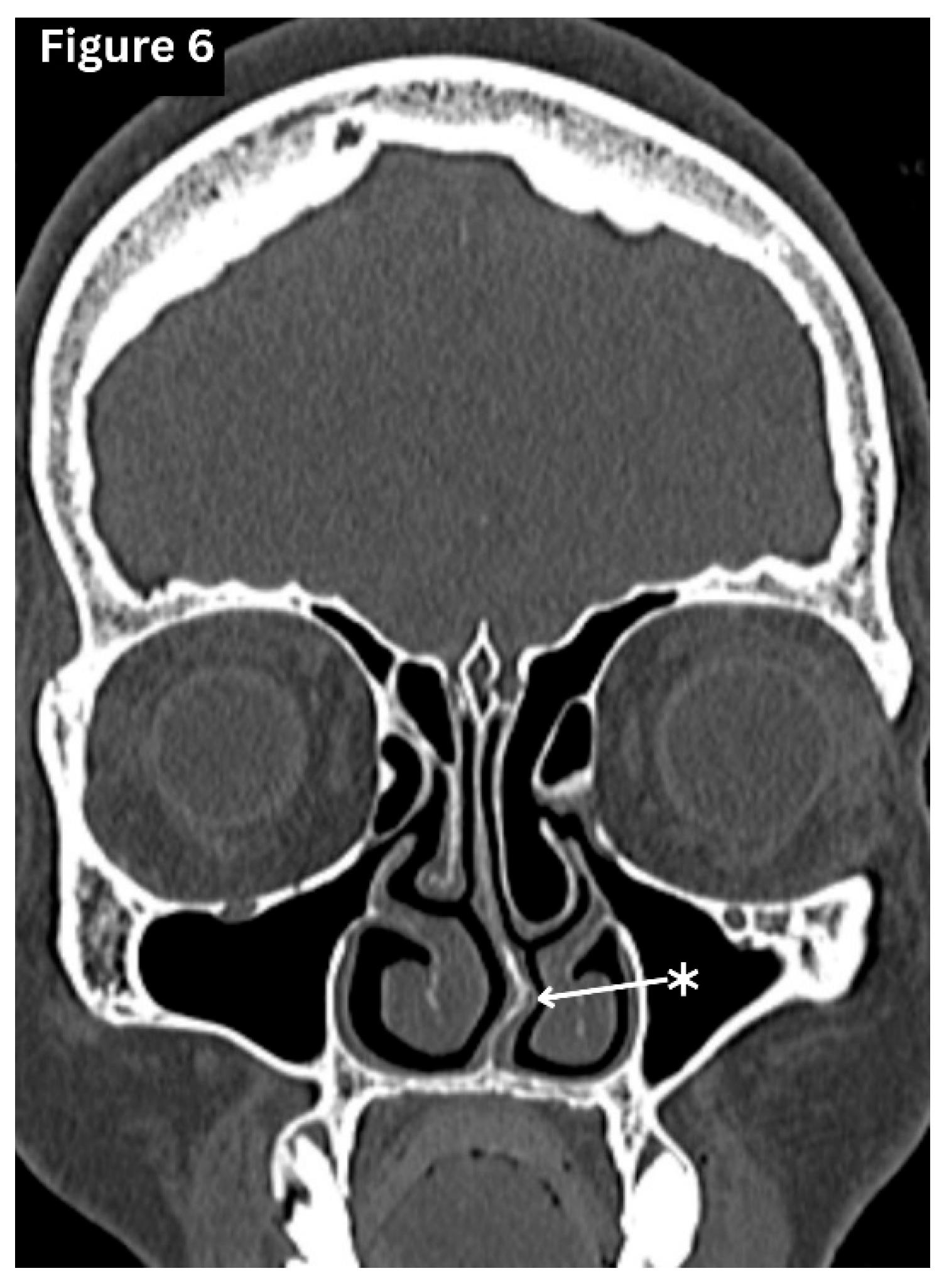Preprints 191434 g006