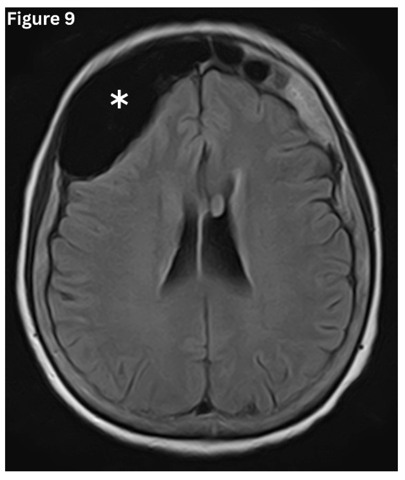 Preprints 191434 g009