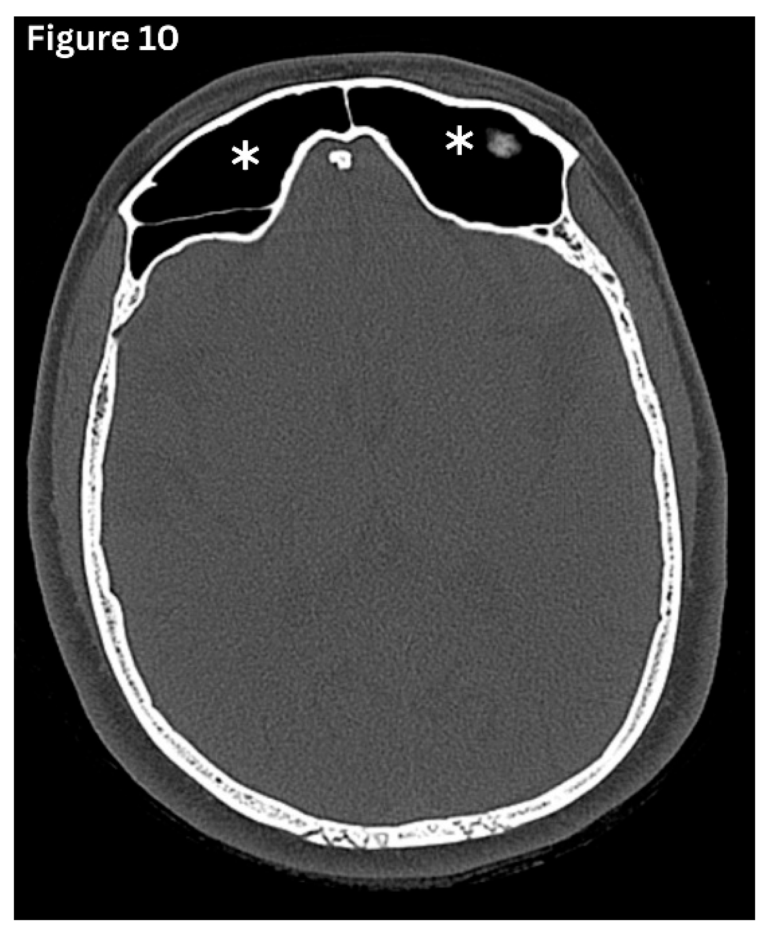 Preprints 191434 g010