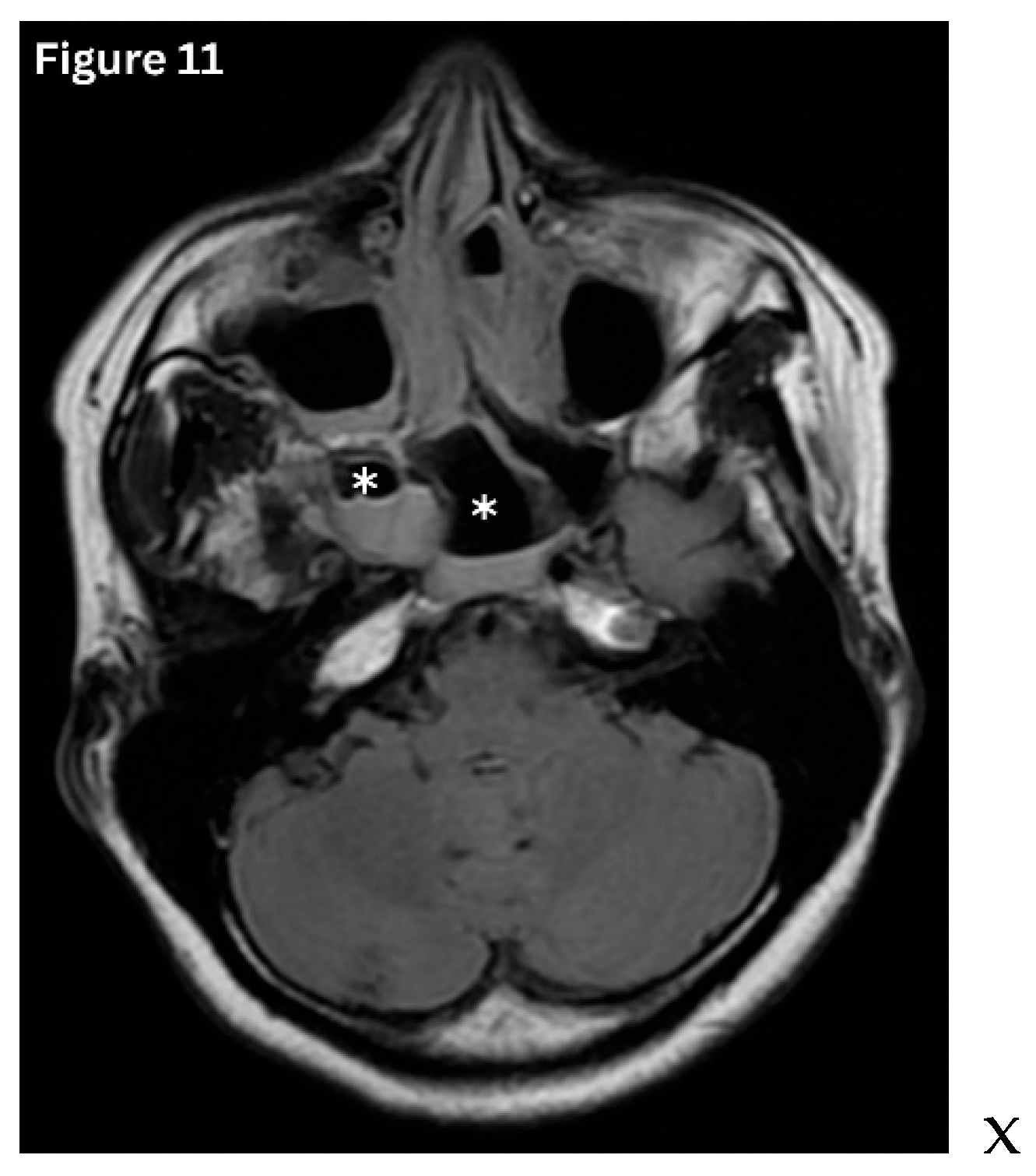 Preprints 191434 g011