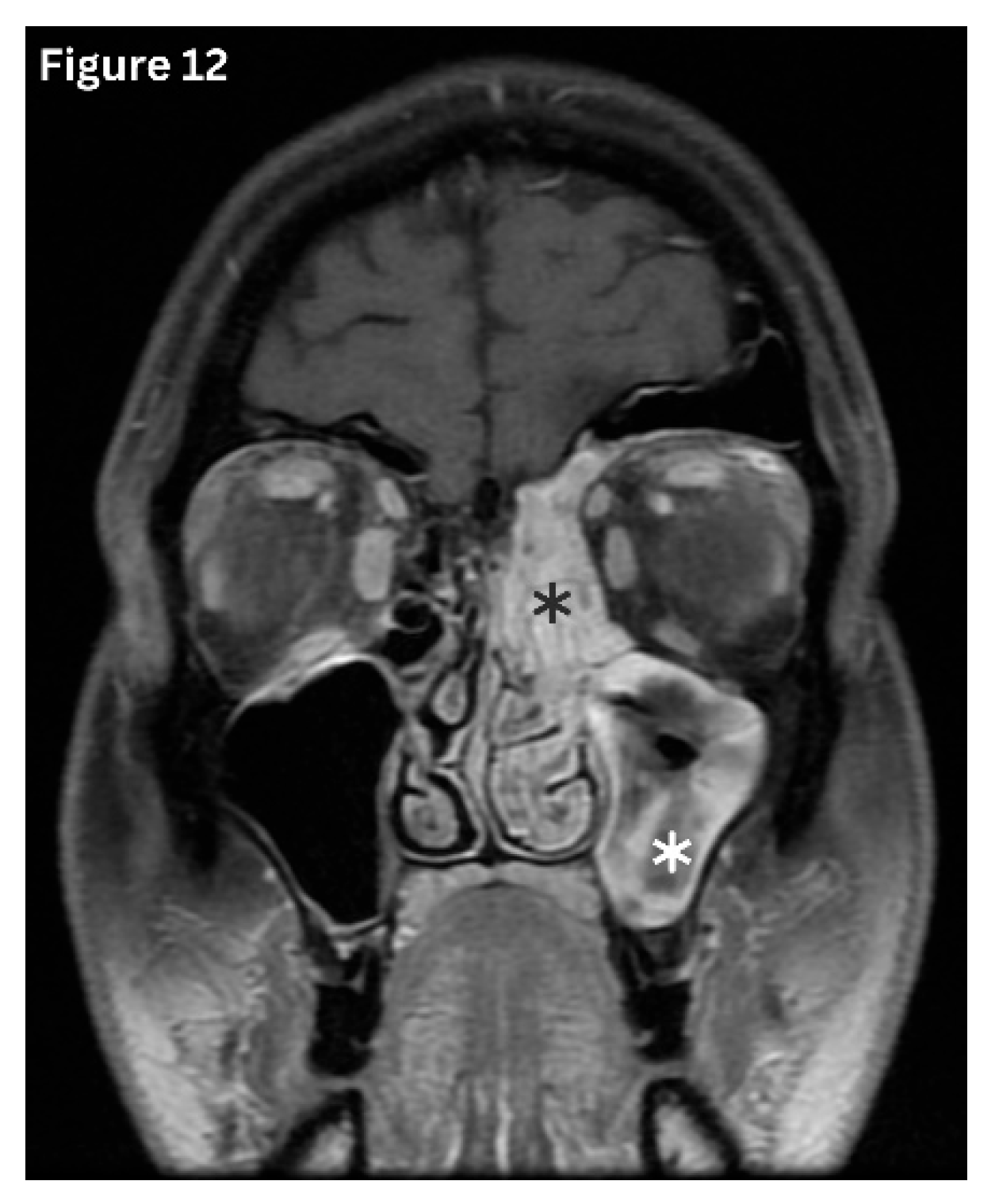 Preprints 191434 g012