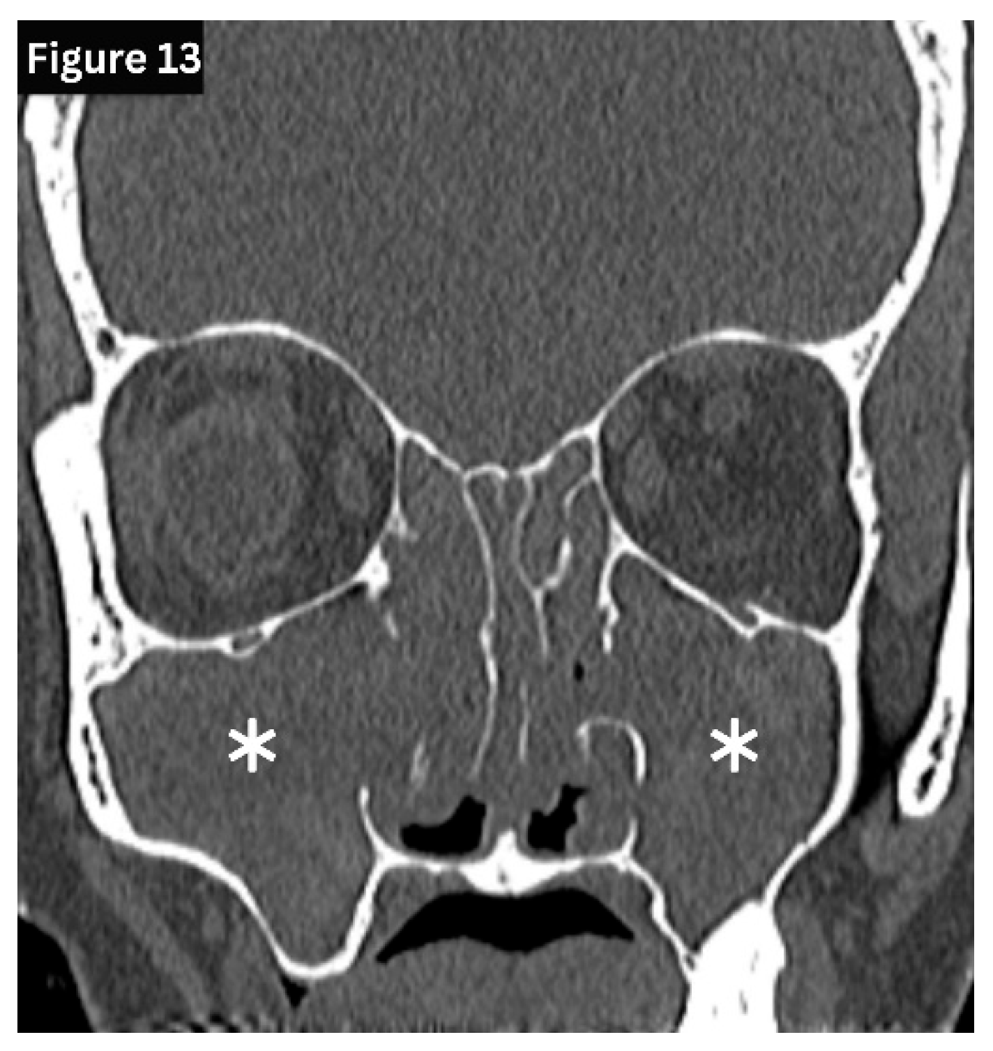 Preprints 191434 g013