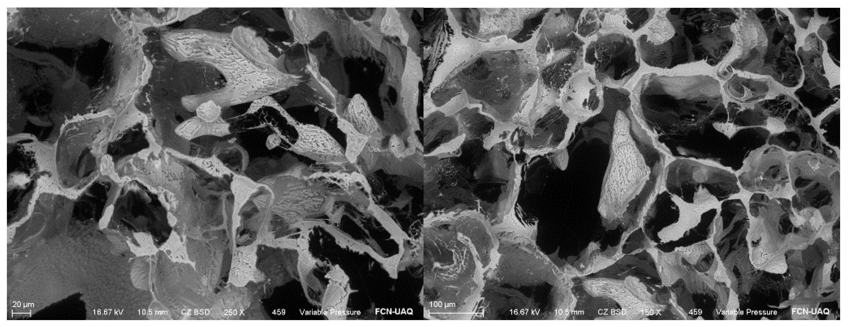 Preprints 164935 g001