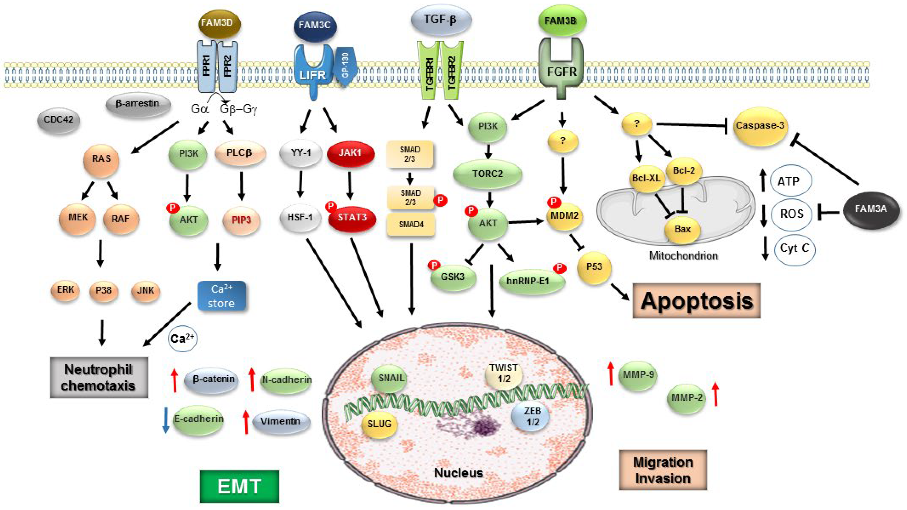 Preprints 193214 g001