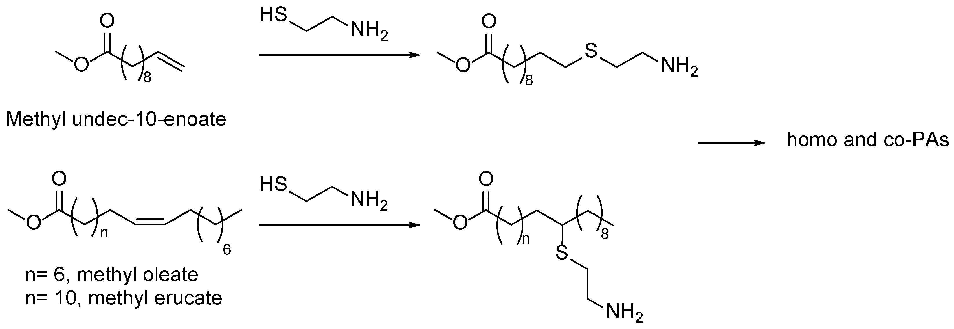Preprints 166595 sch023