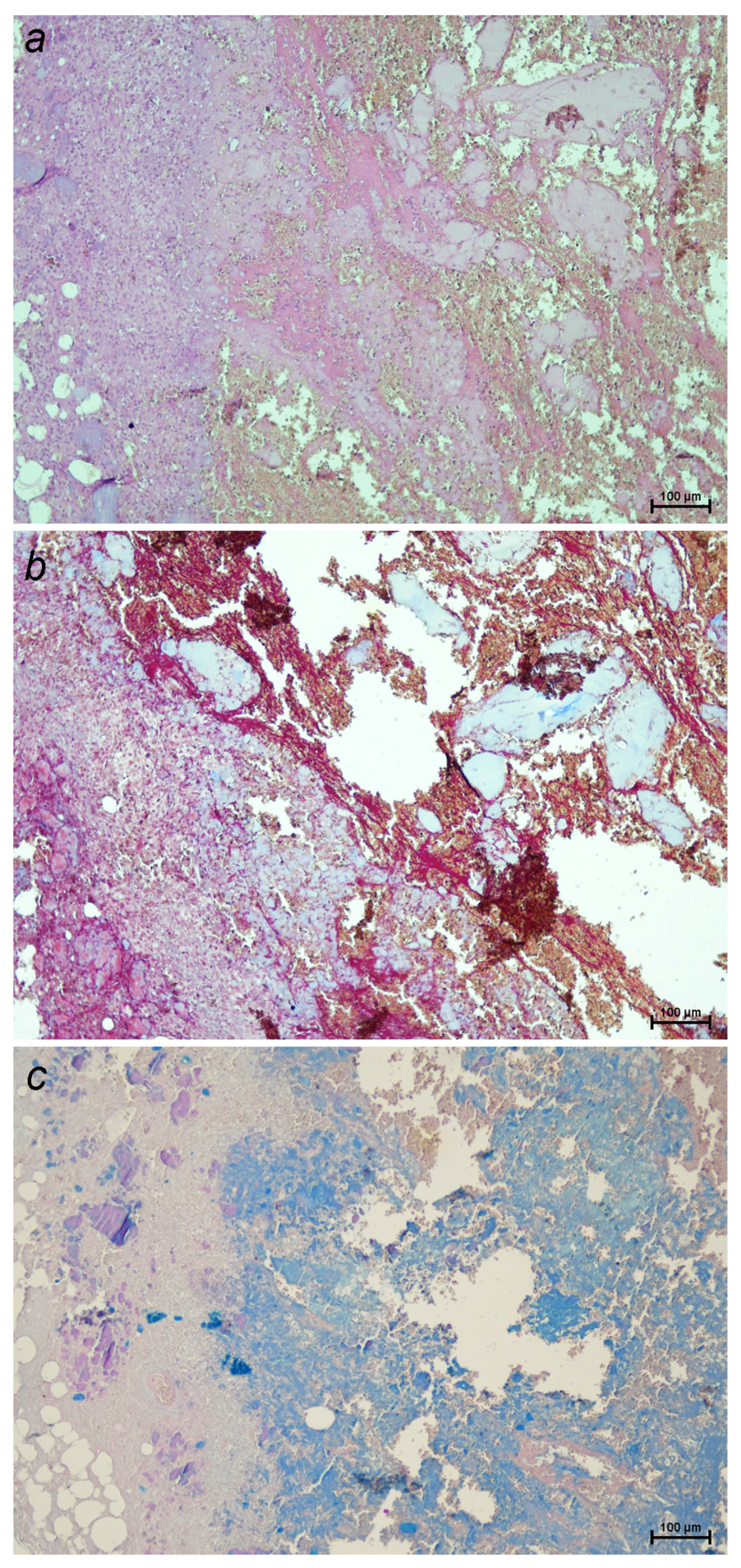Preprints 158521 g002