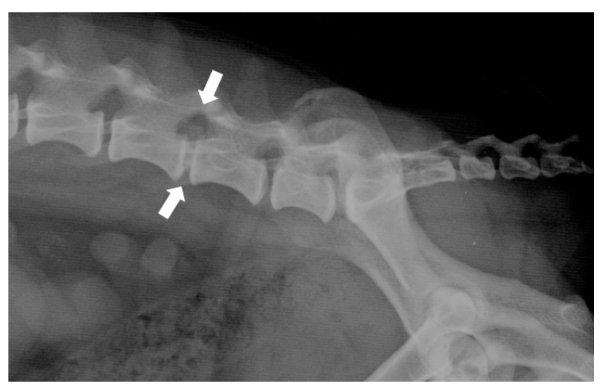 Preprints 158521 g003