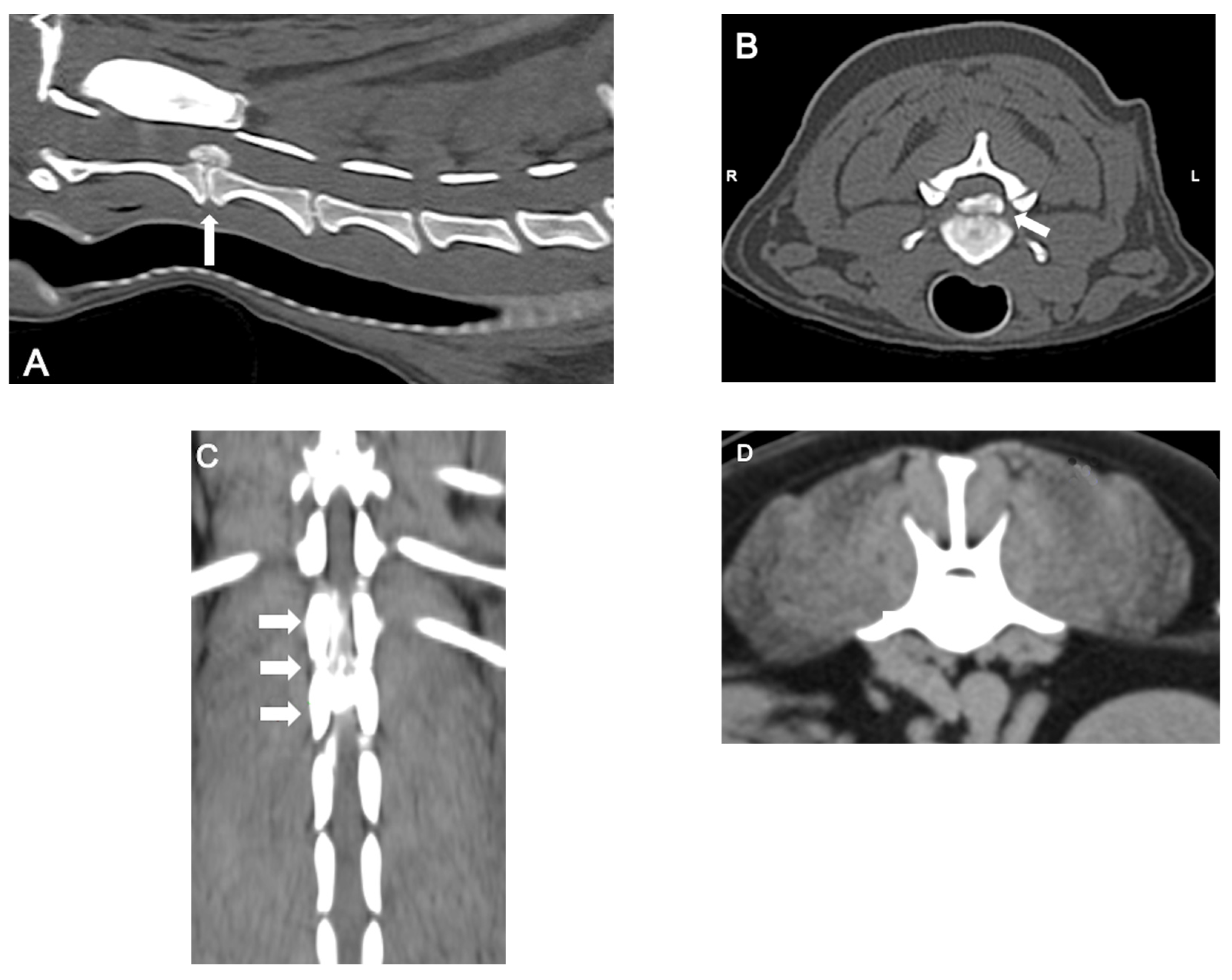 Preprints 158521 g004