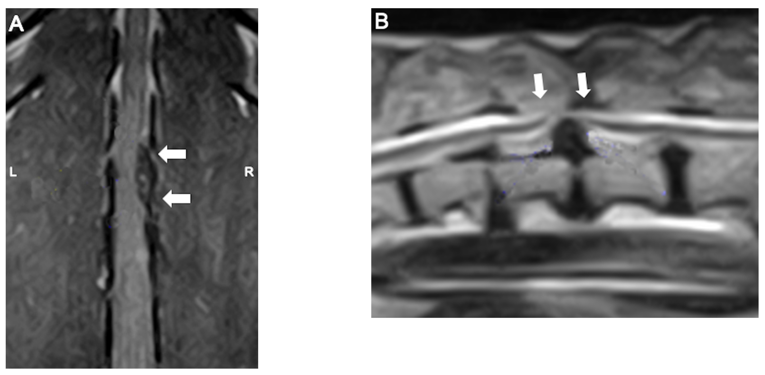 Preprints 158521 g005