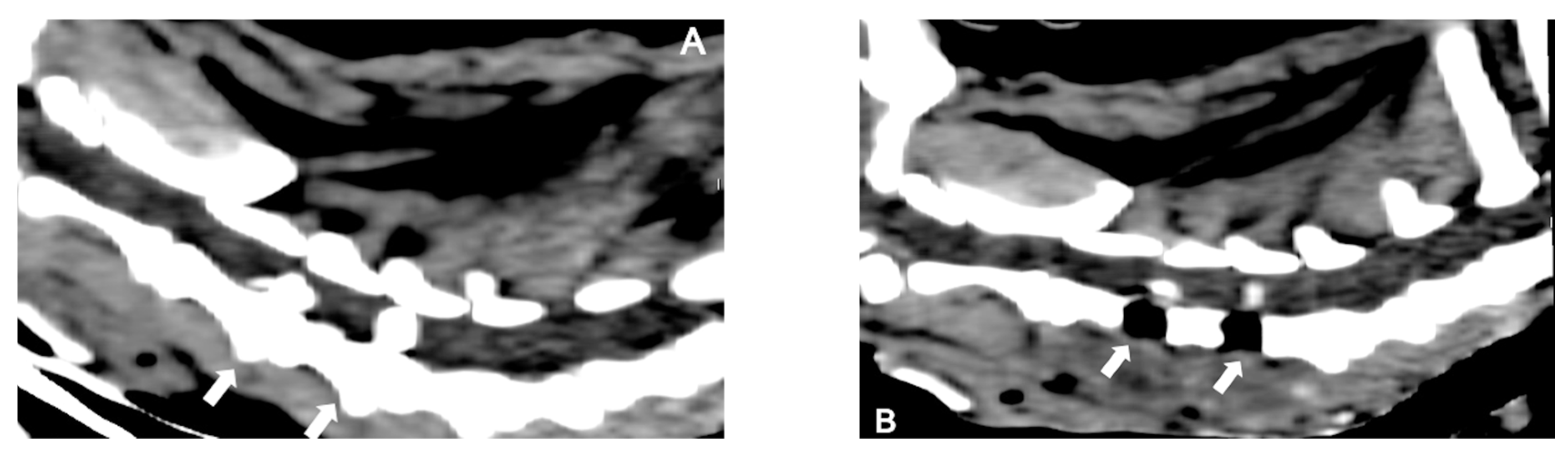 Preprints 158521 g006