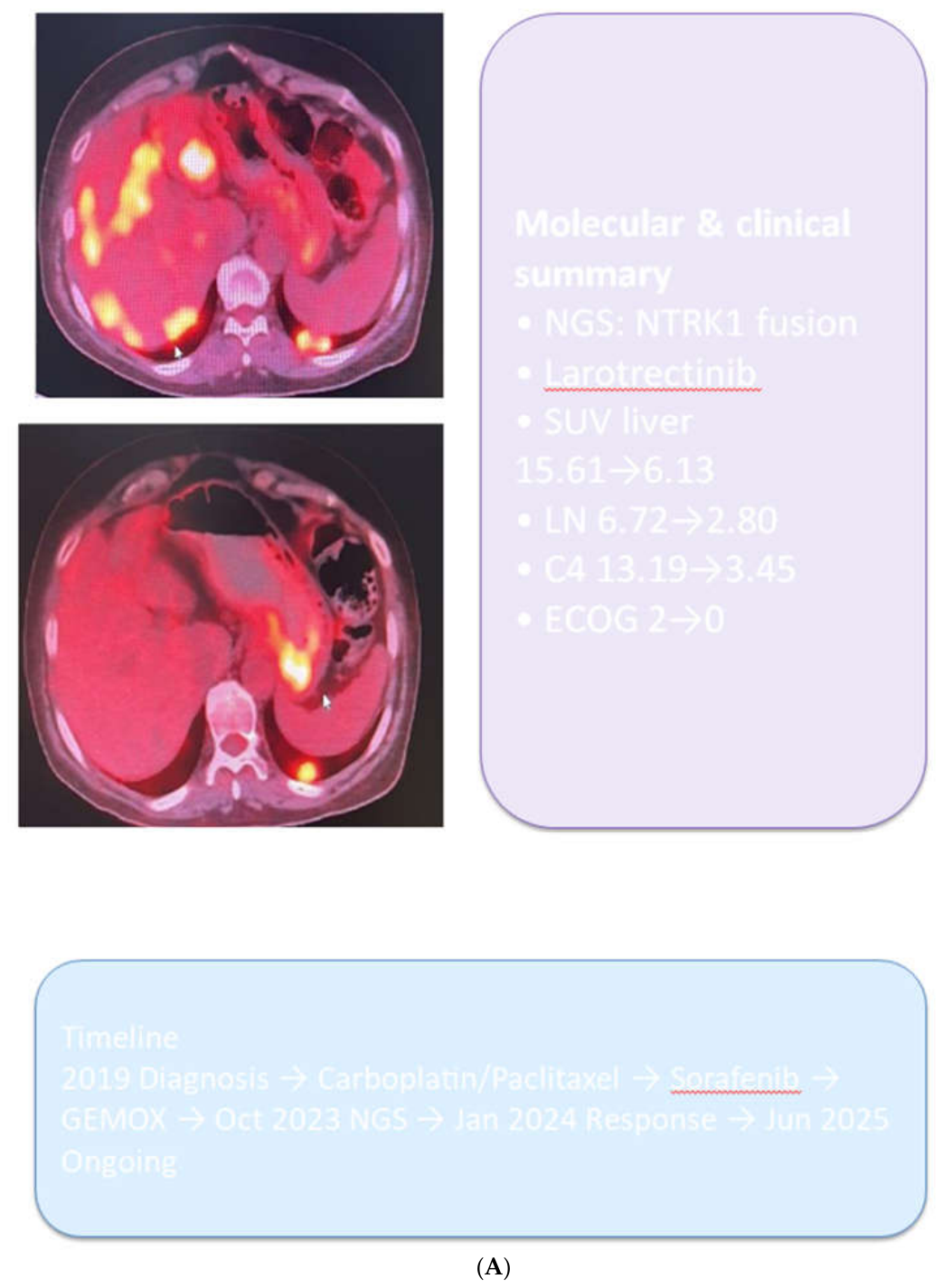 Preprints 227131 g001a Preprints 227131 g001a
