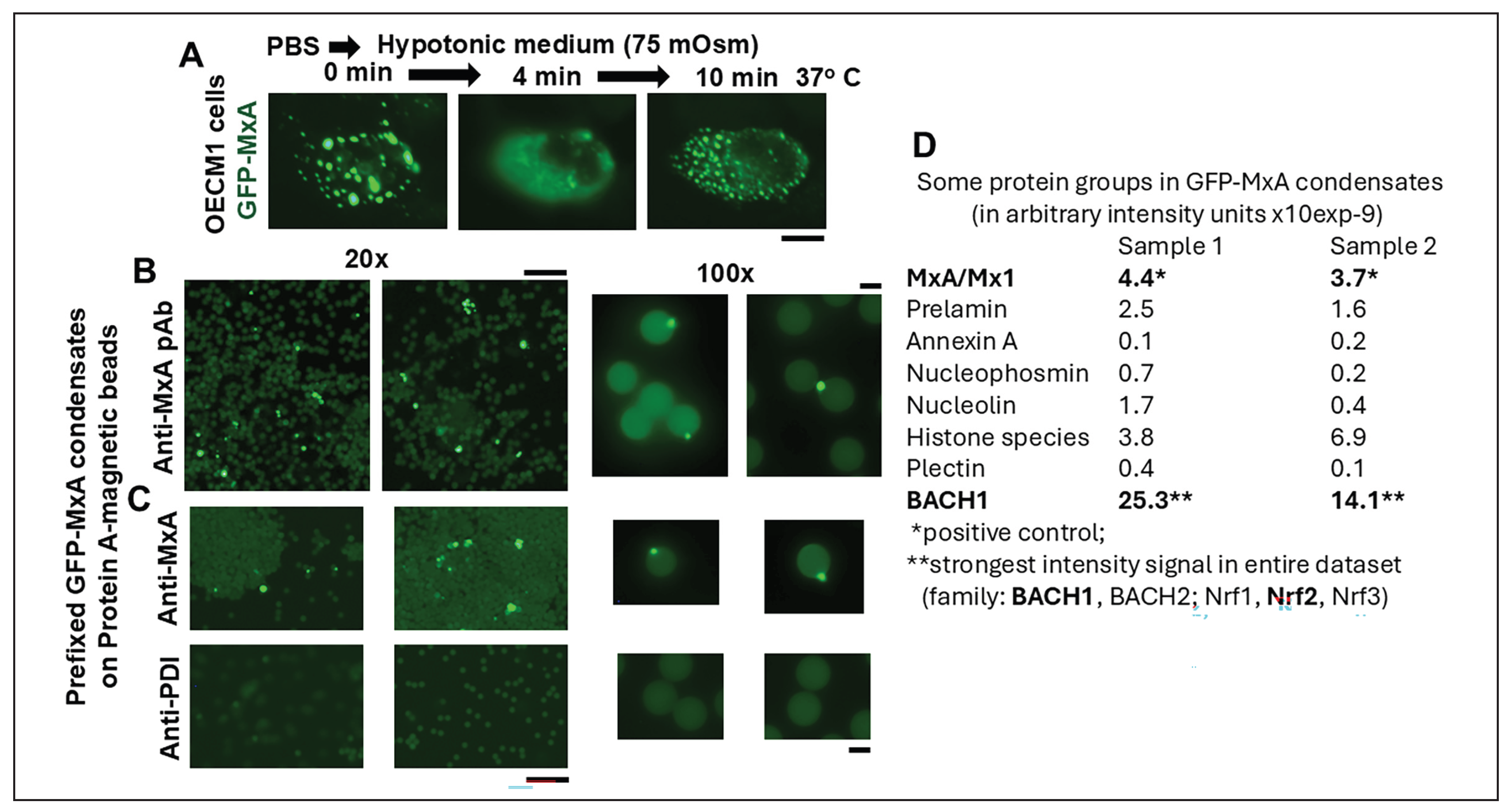 Preprints 212023 g001 Preprints 212023 g001