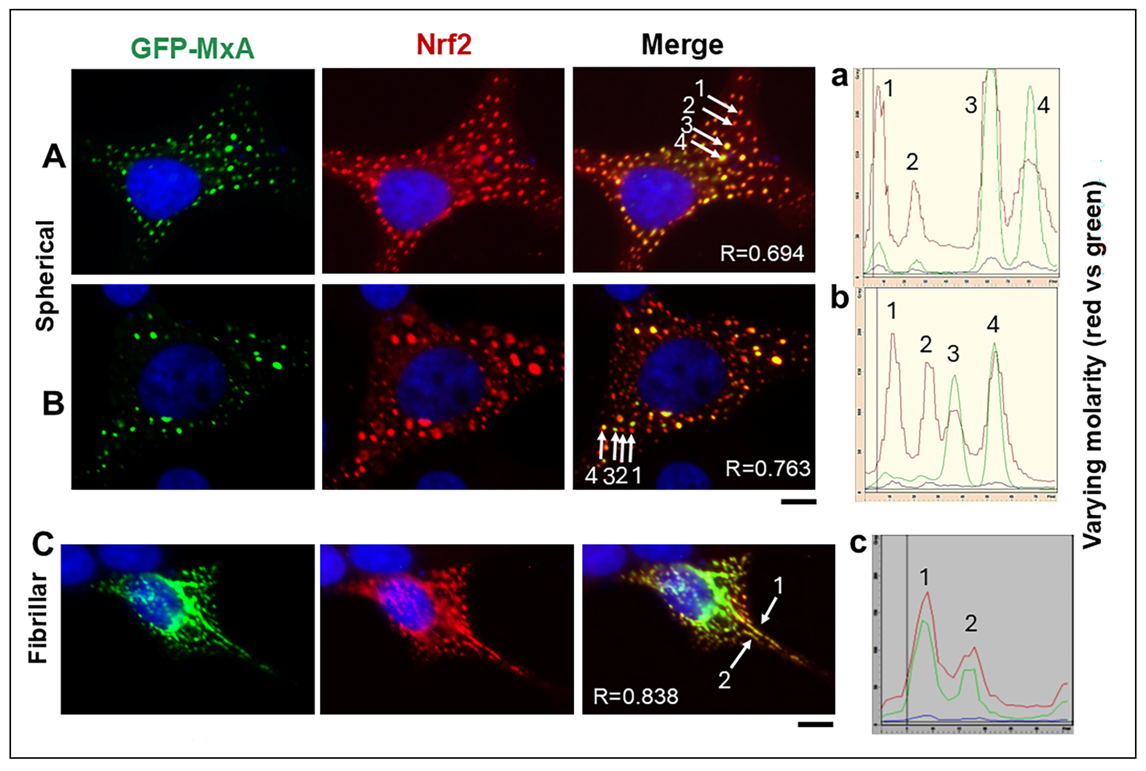 Preprints 212023 g005 Preprints 212023 g005