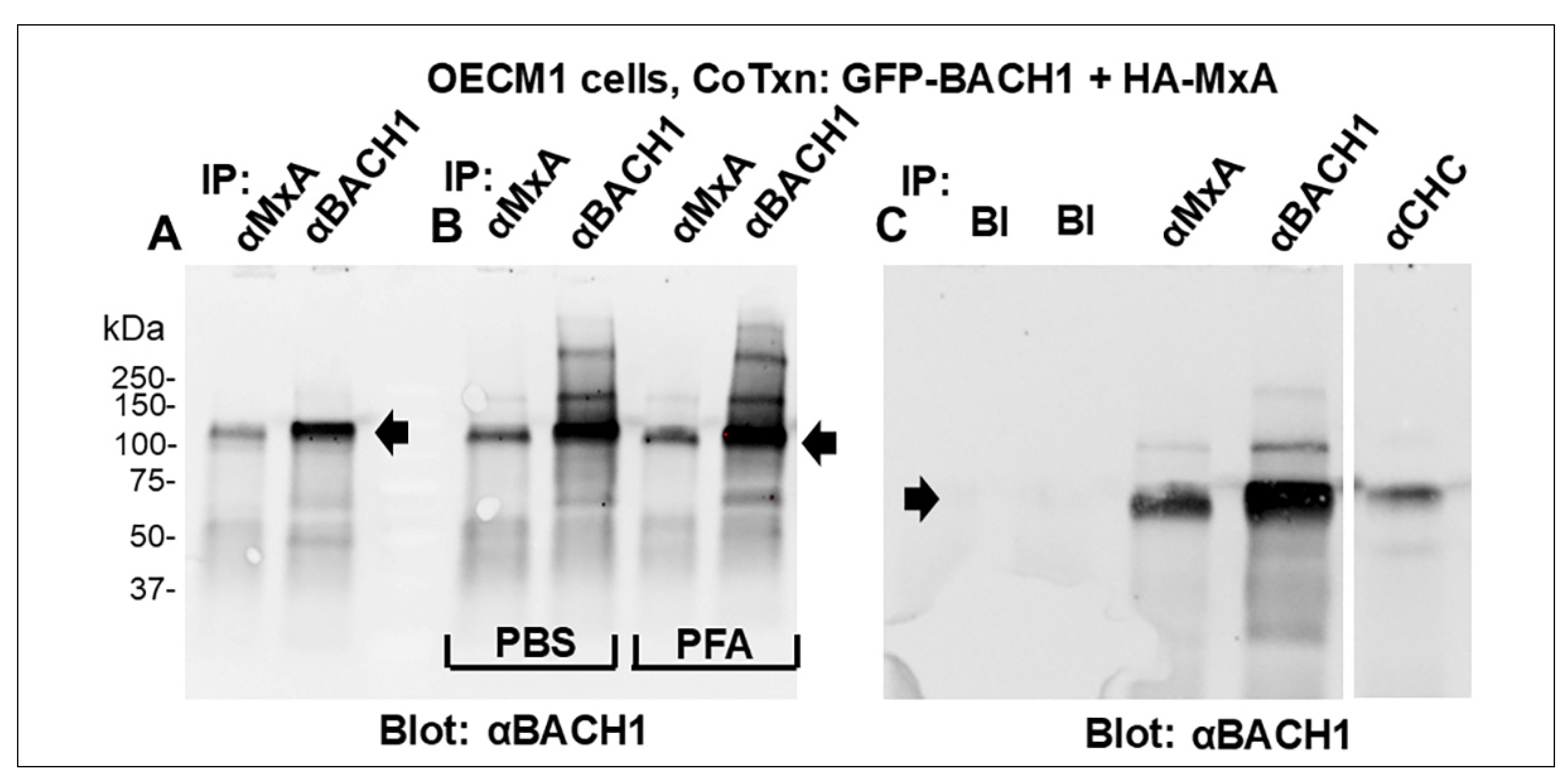 Preprints 212023 g008 Preprints 212023 g008