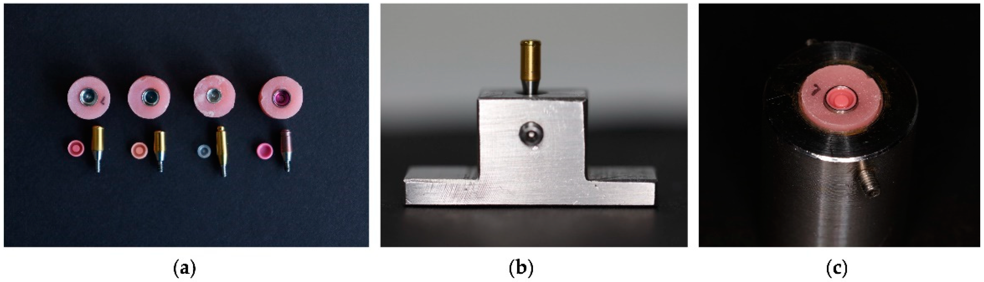 Preprints 73674 g001