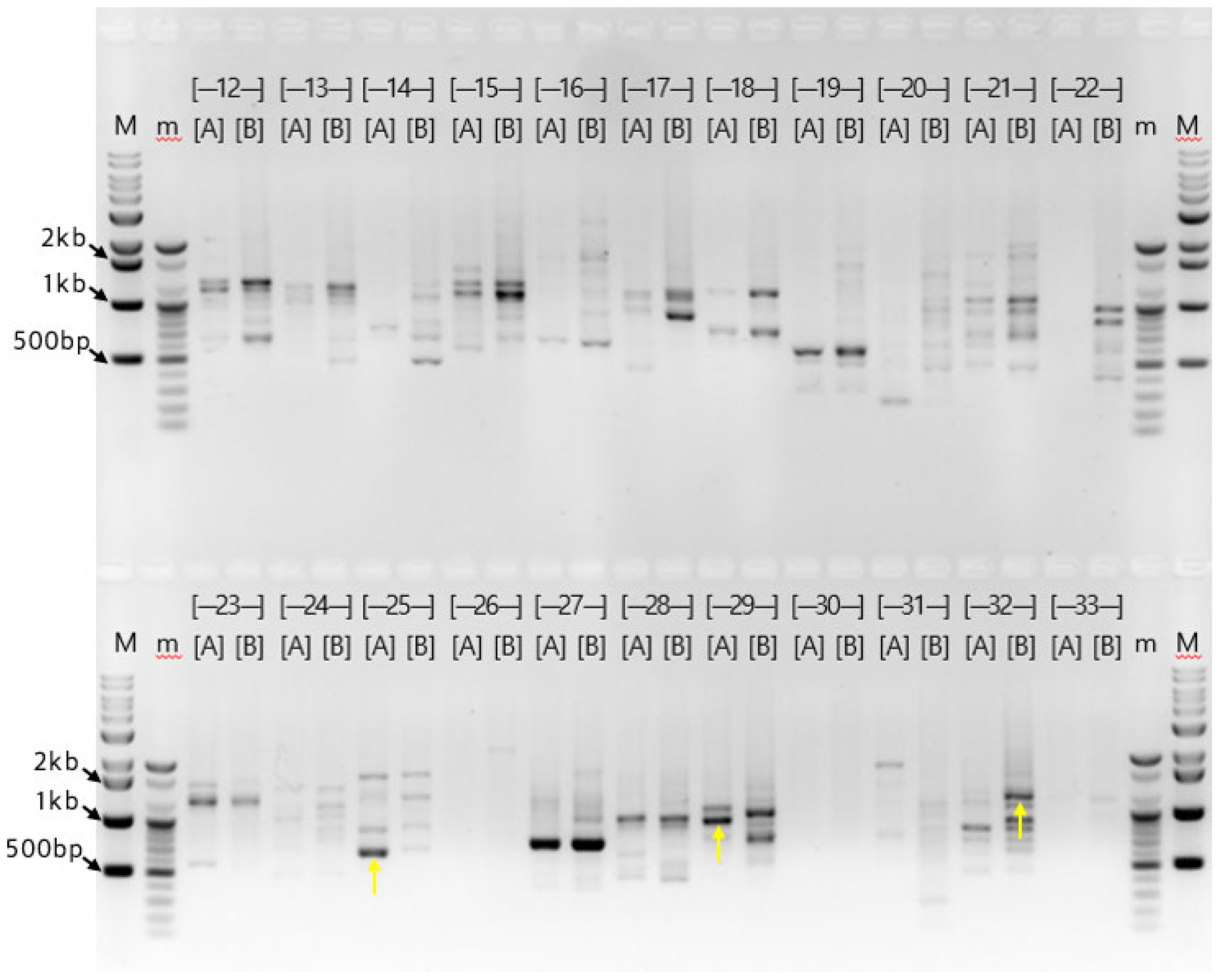 Preprints 195585 g002