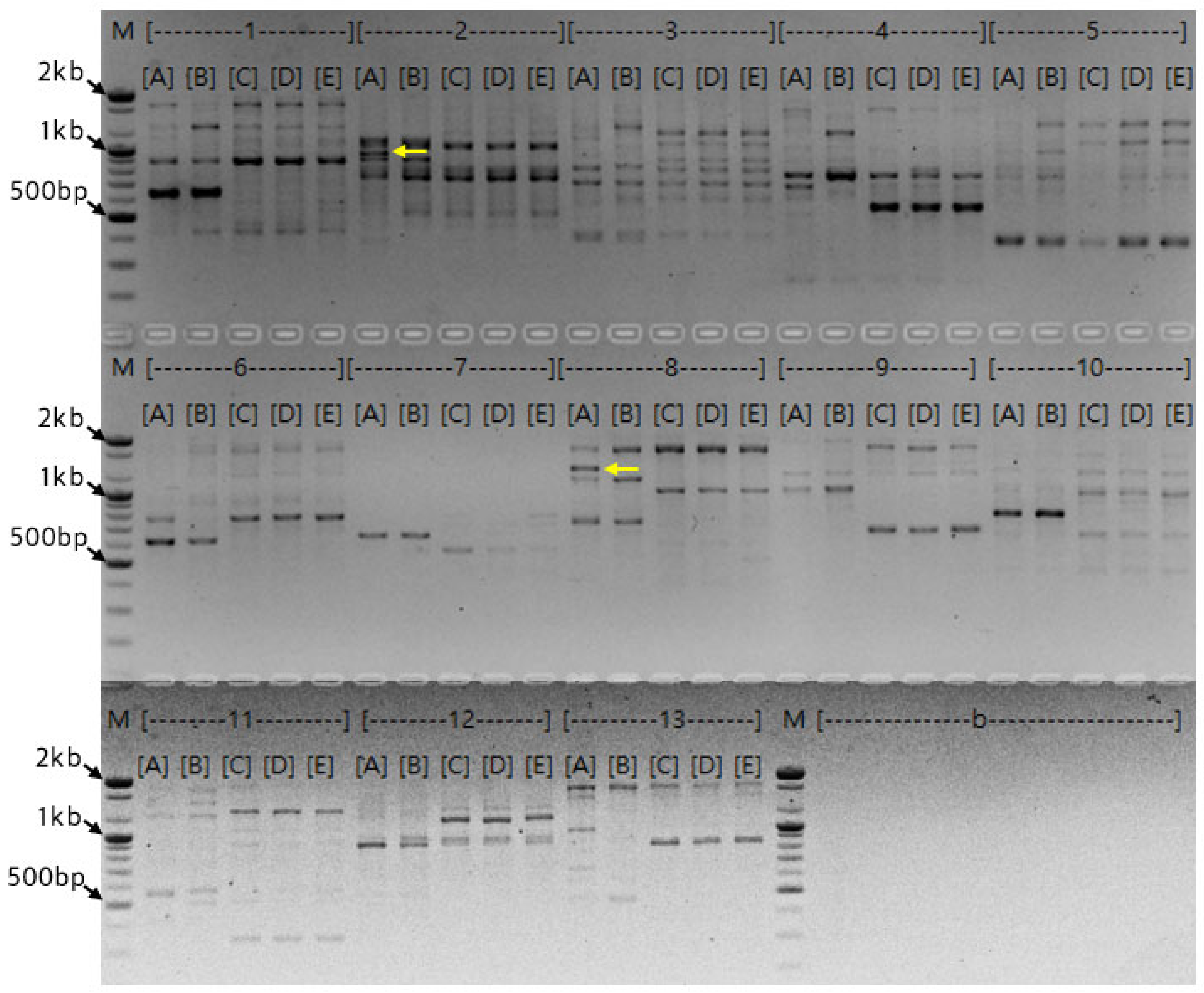 Preprints 195585 g004