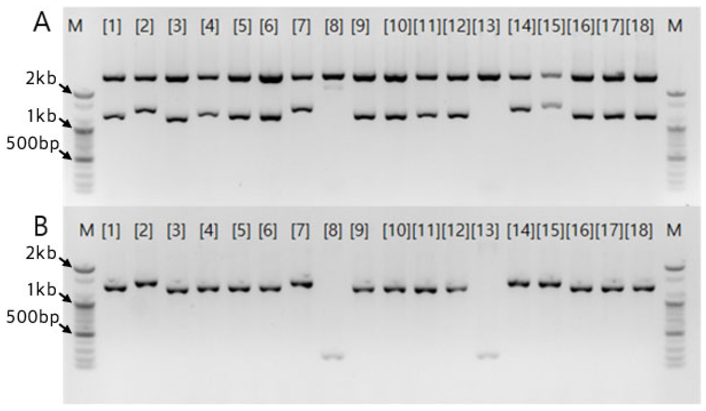 Preprints 195585 g006