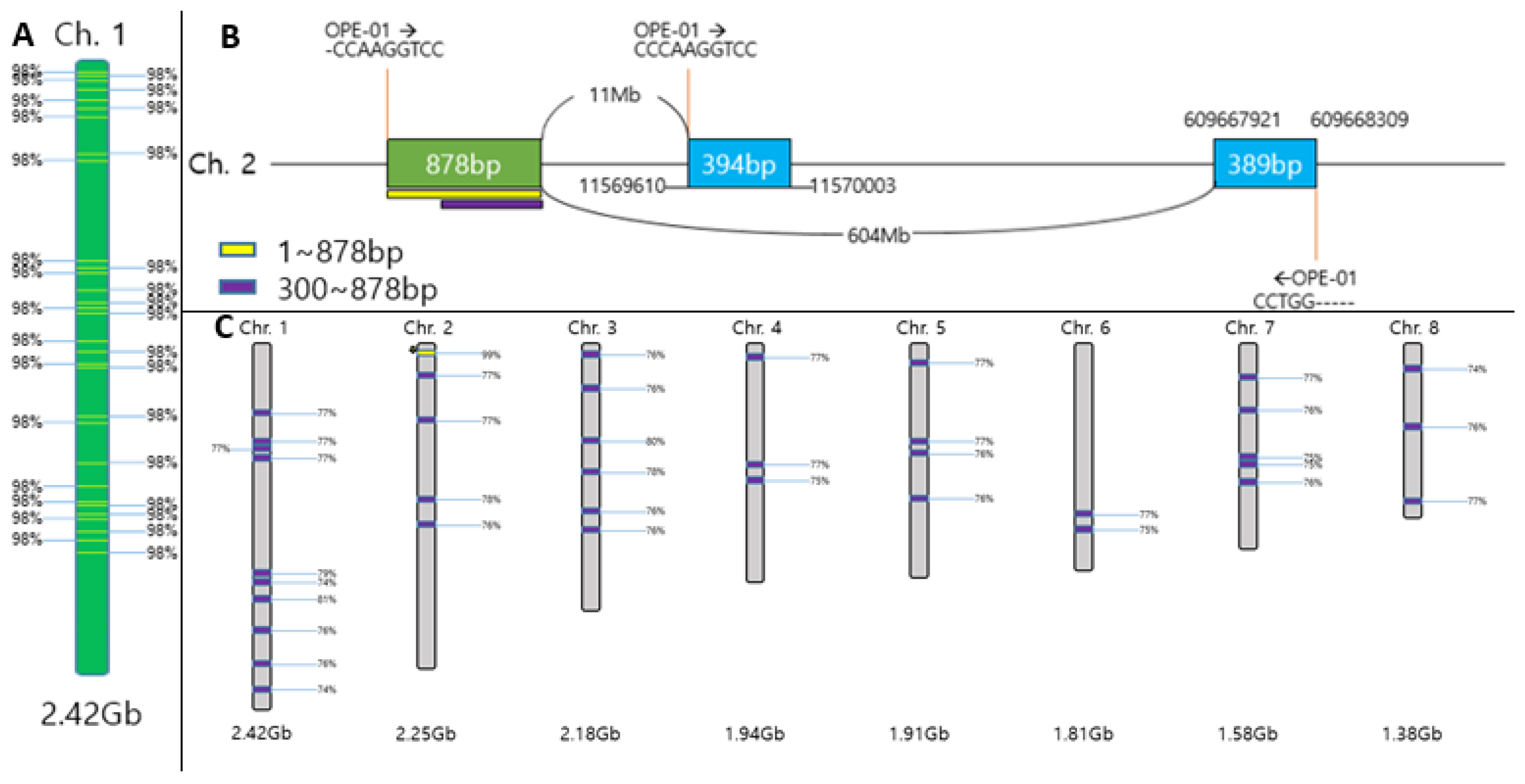 Preprints 195585 g007