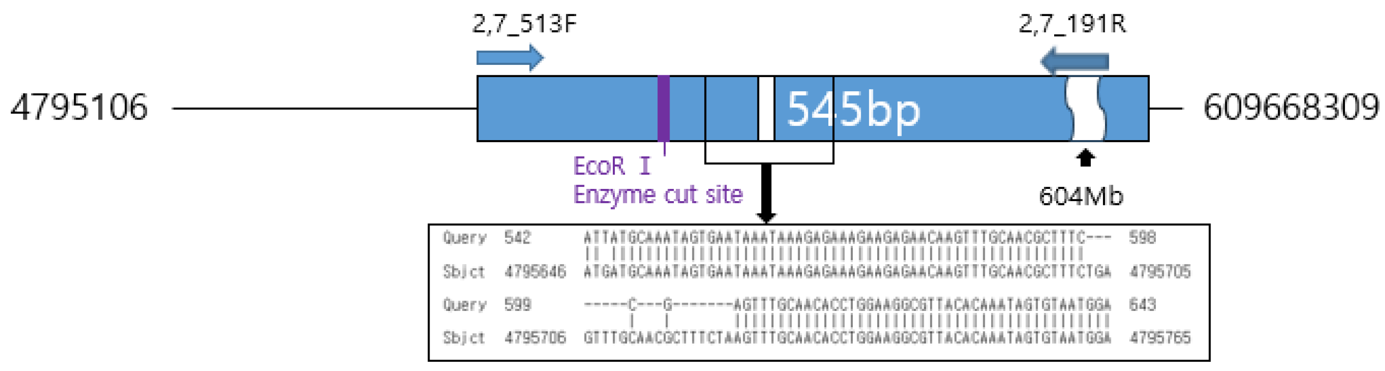 Preprints 195585 g008