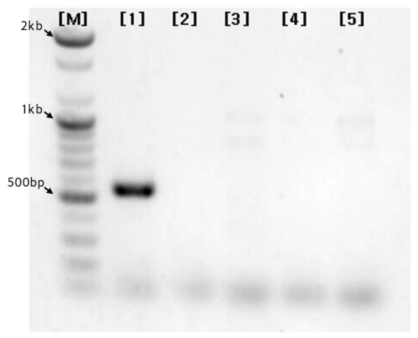 Preprints 195585 g009