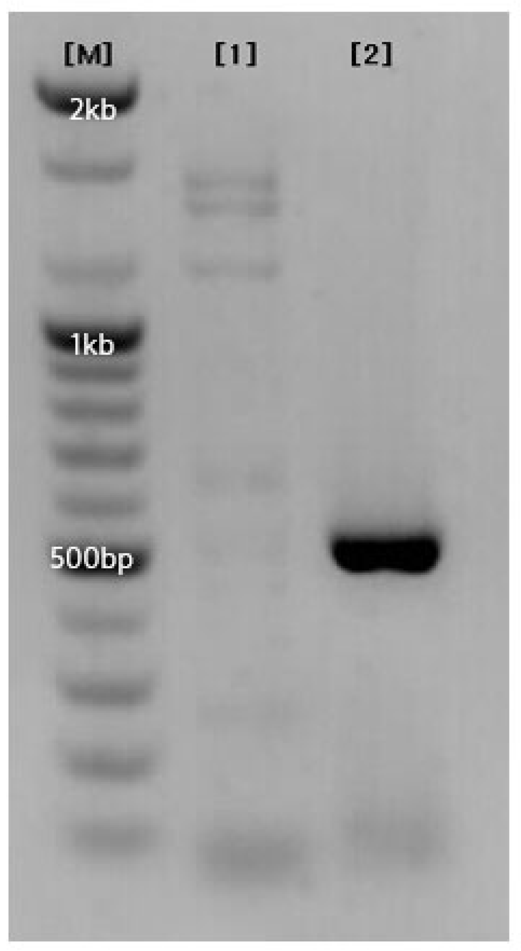 Preprints 195585 g010