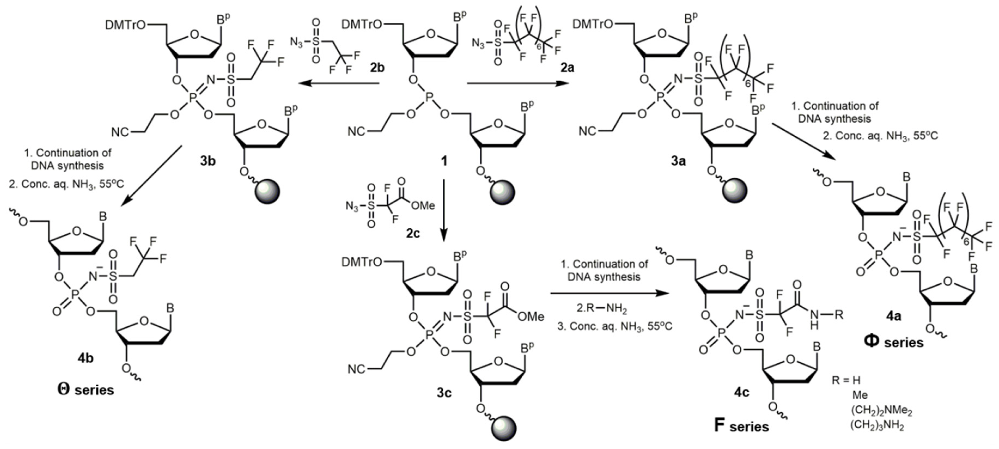 Preprints 142478 g001