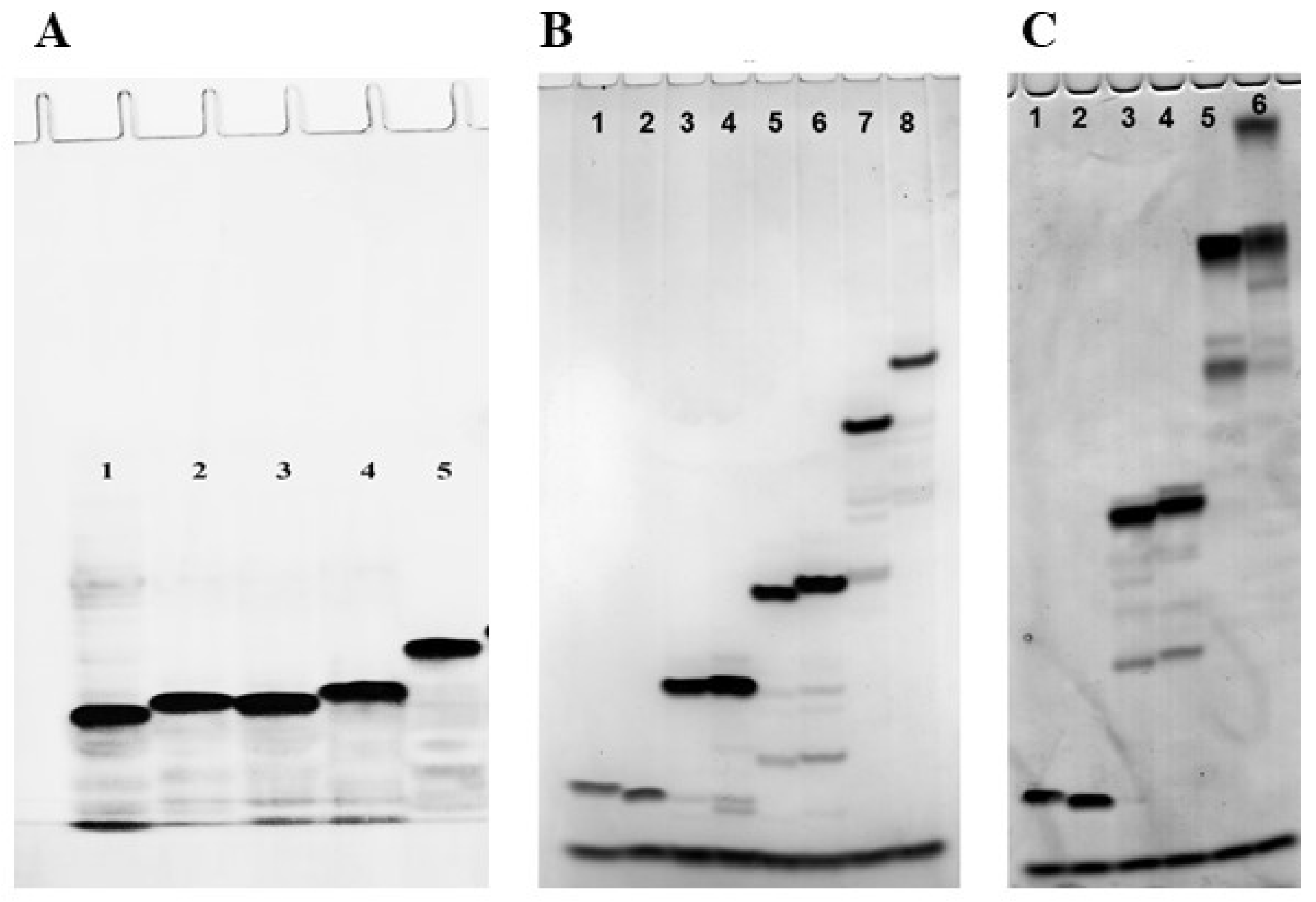 Preprints 142478 g004