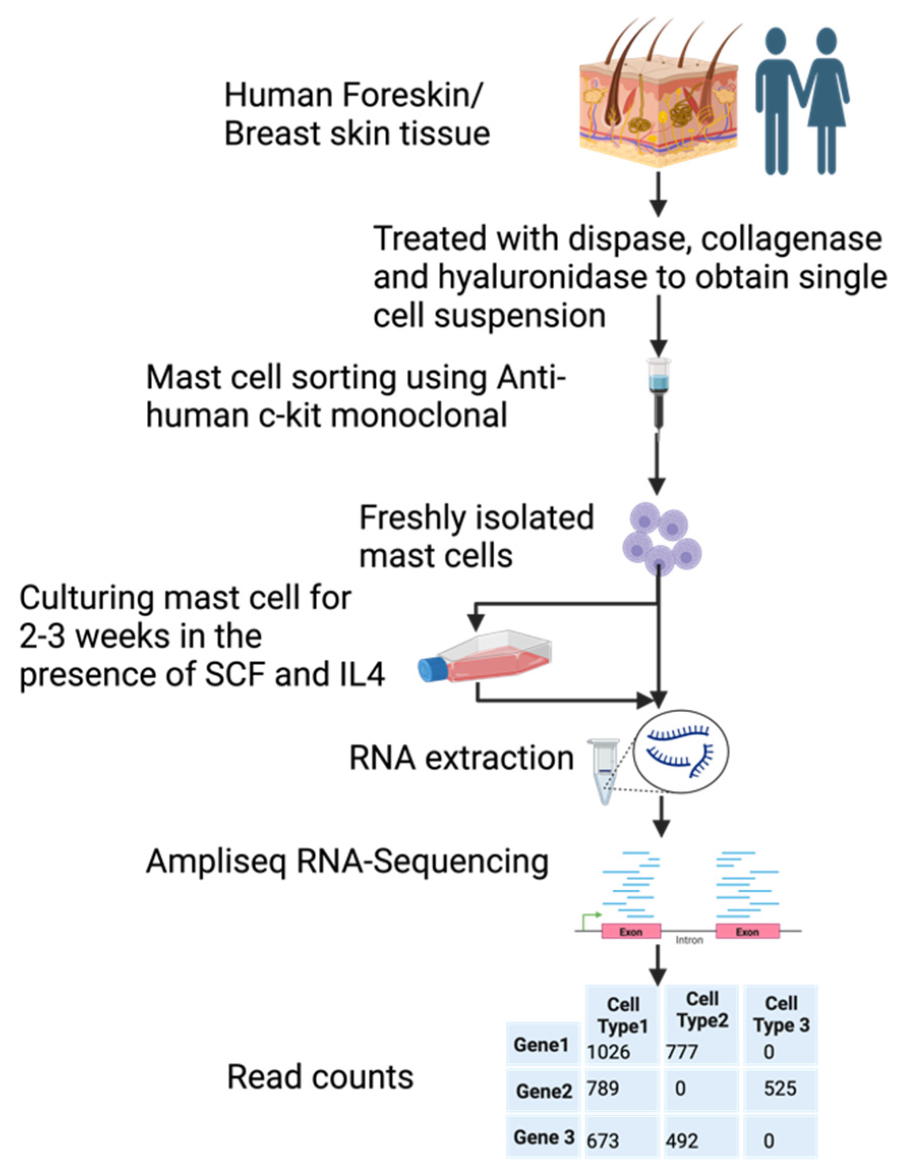 Preprints 91493 g001