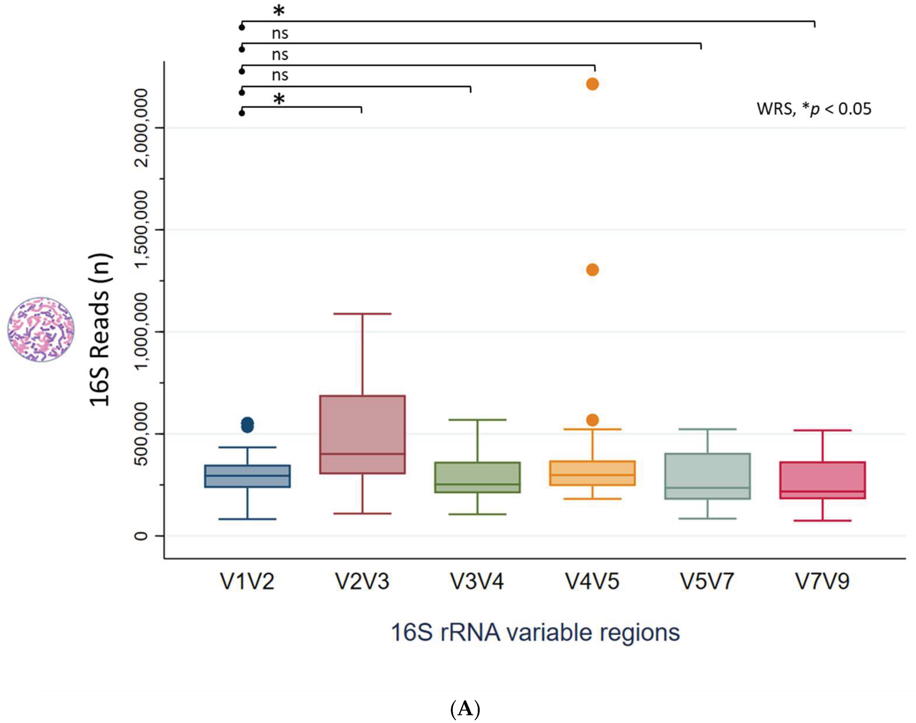 Preprints 163495 g001a