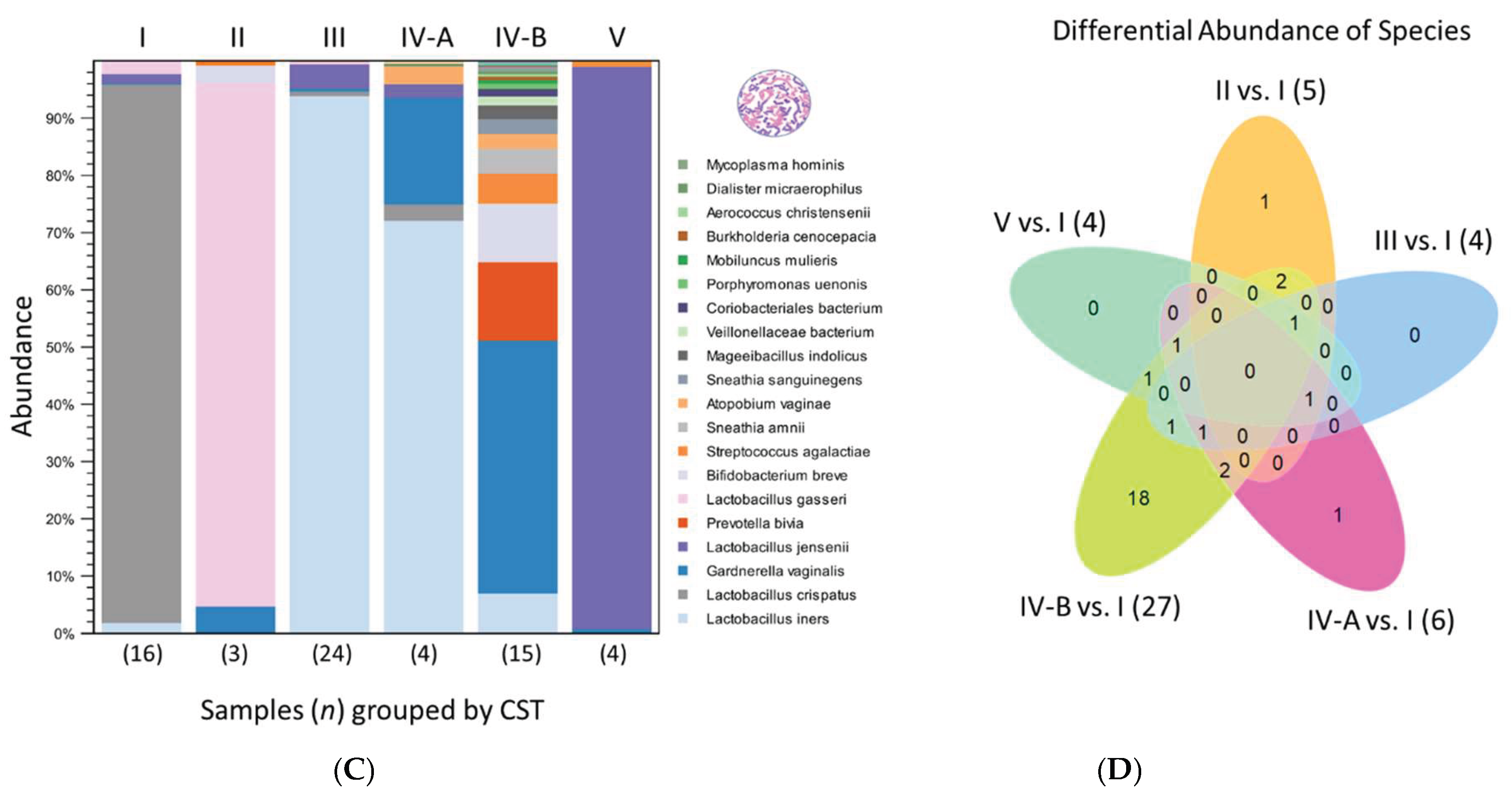 Preprints 163495 g003b
