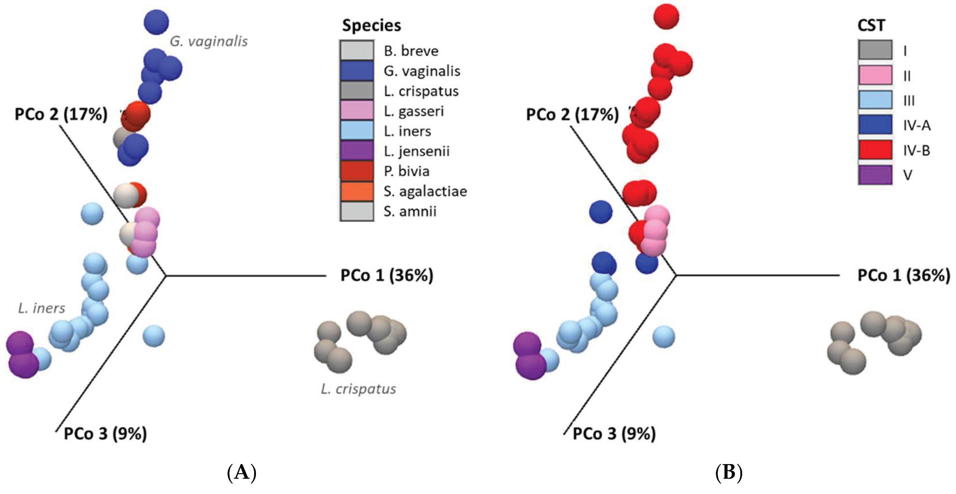 Preprints 163495 g006