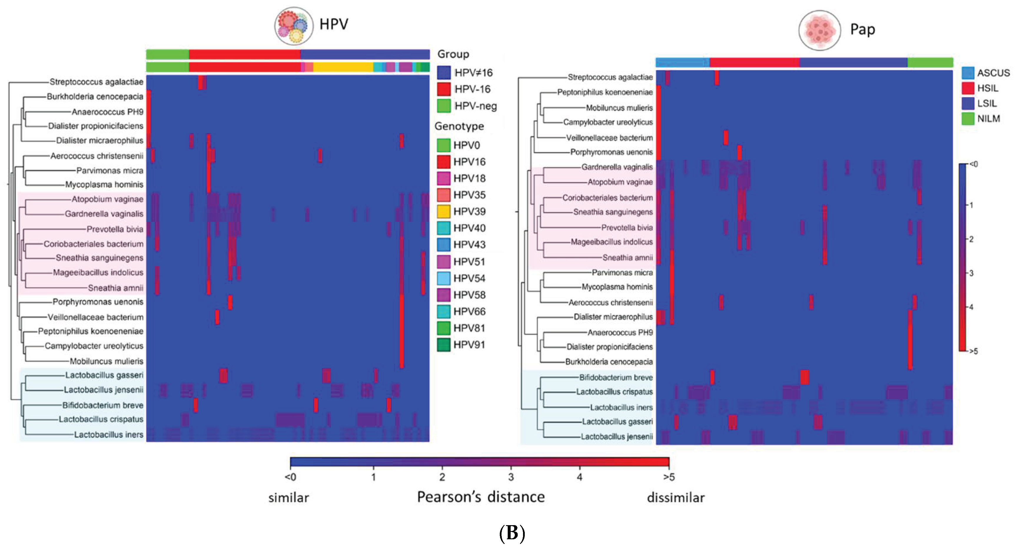 Preprints 163495 g007b