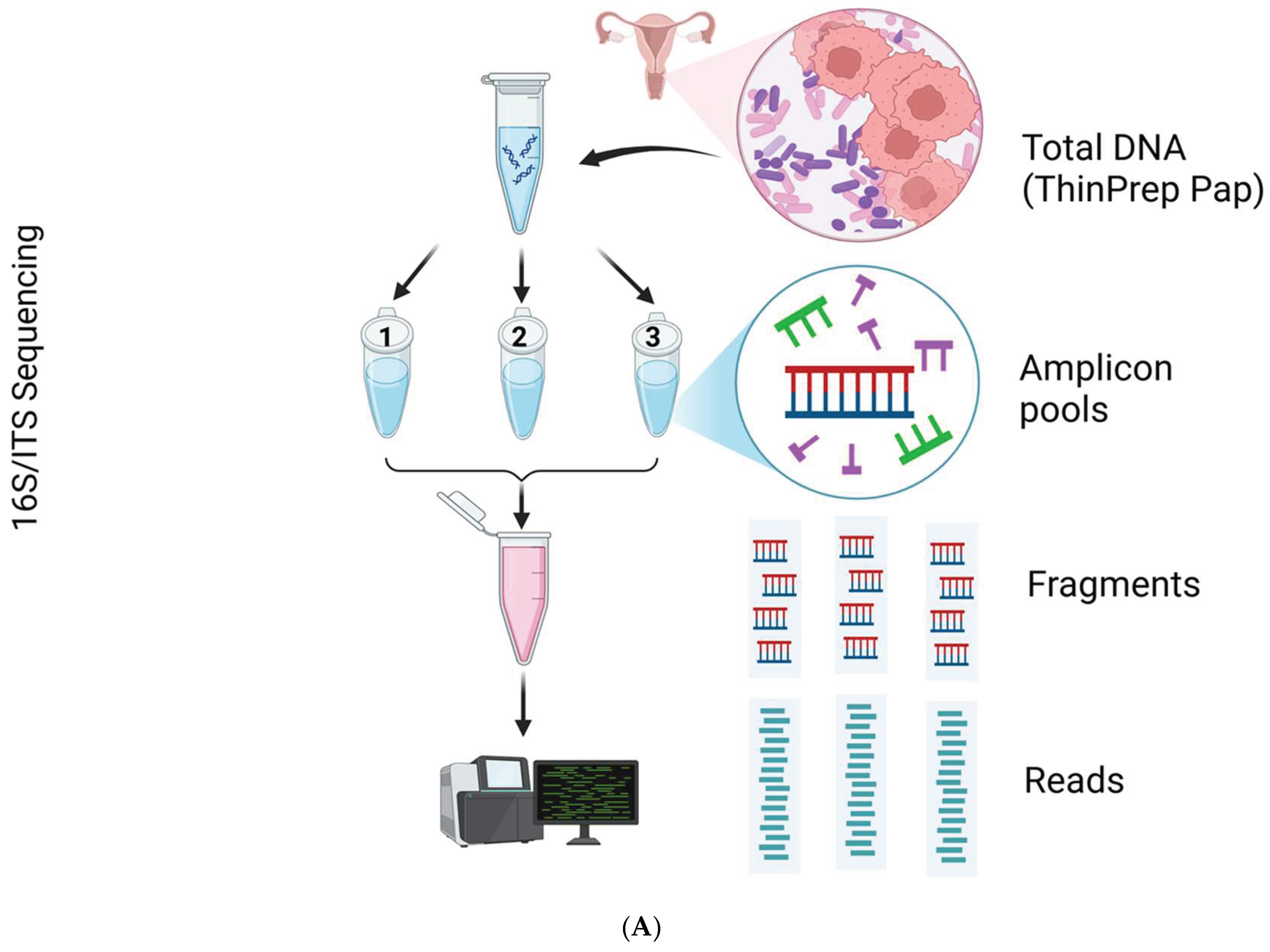 Preprints 163495 g008a