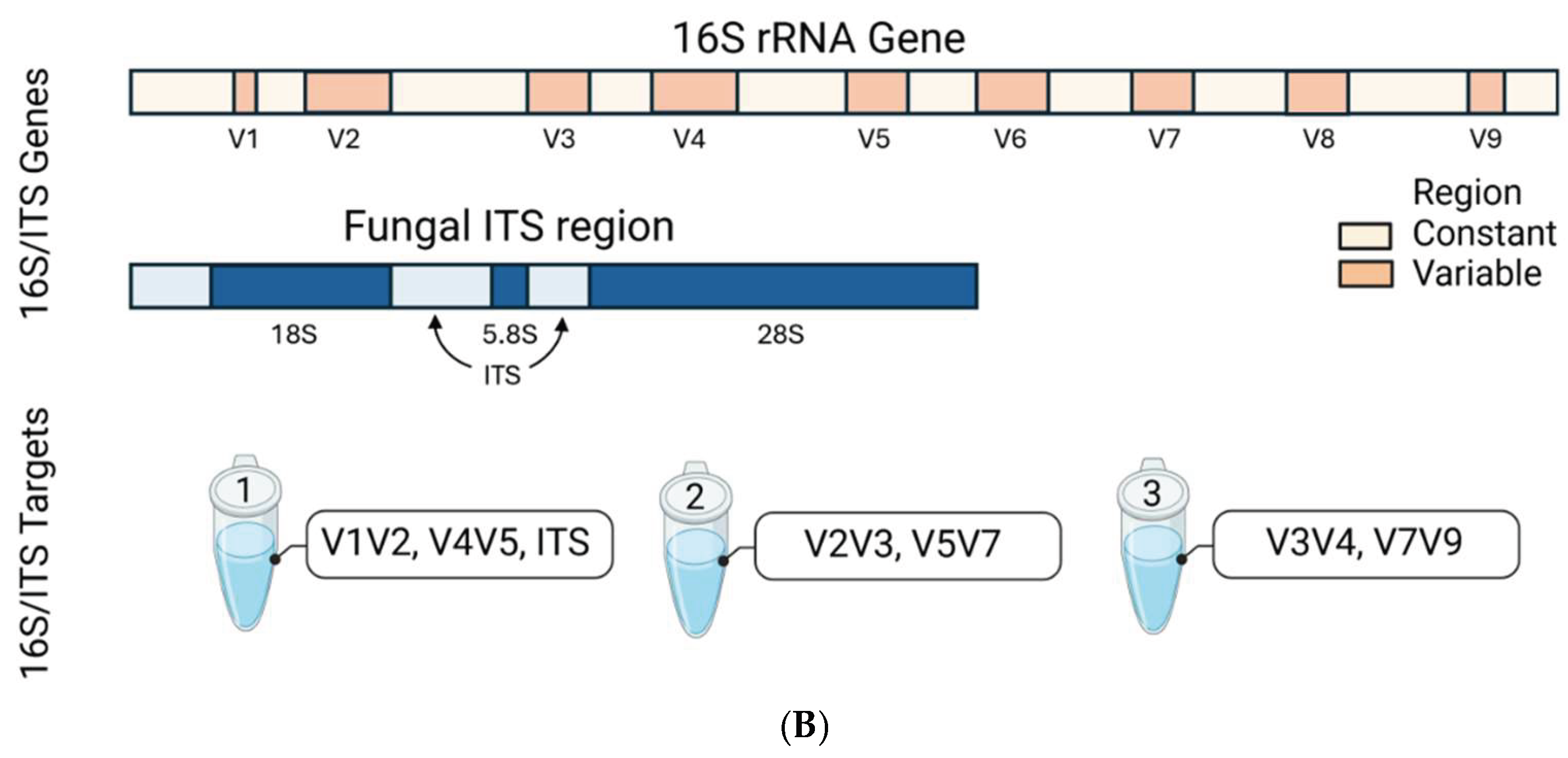Preprints 163495 g008b