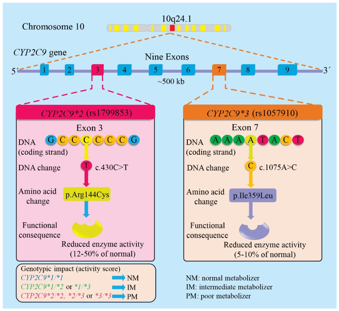 Preprints 220827 g001 Preprints 220827 g001