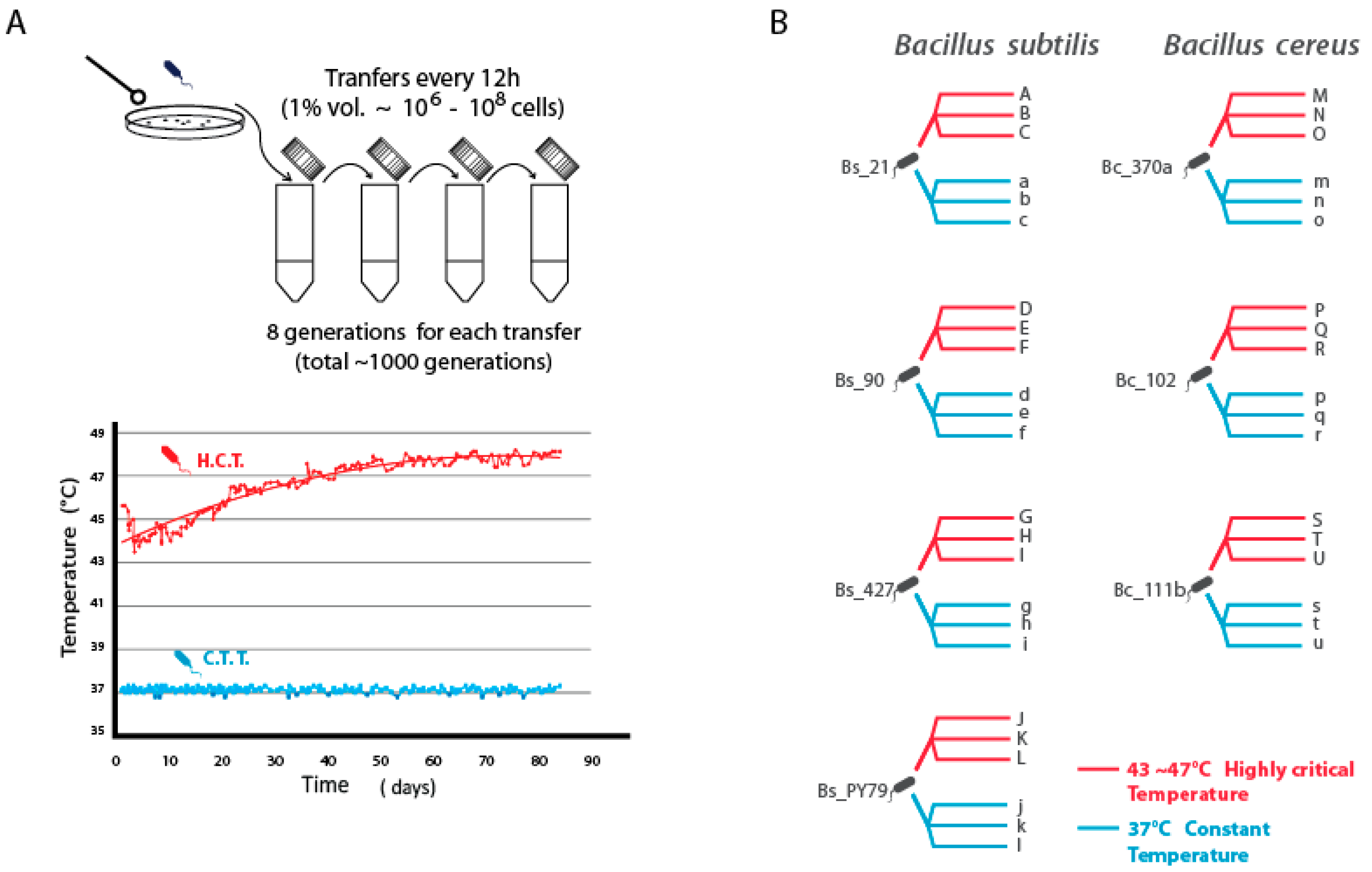 Preprints 140837 g001