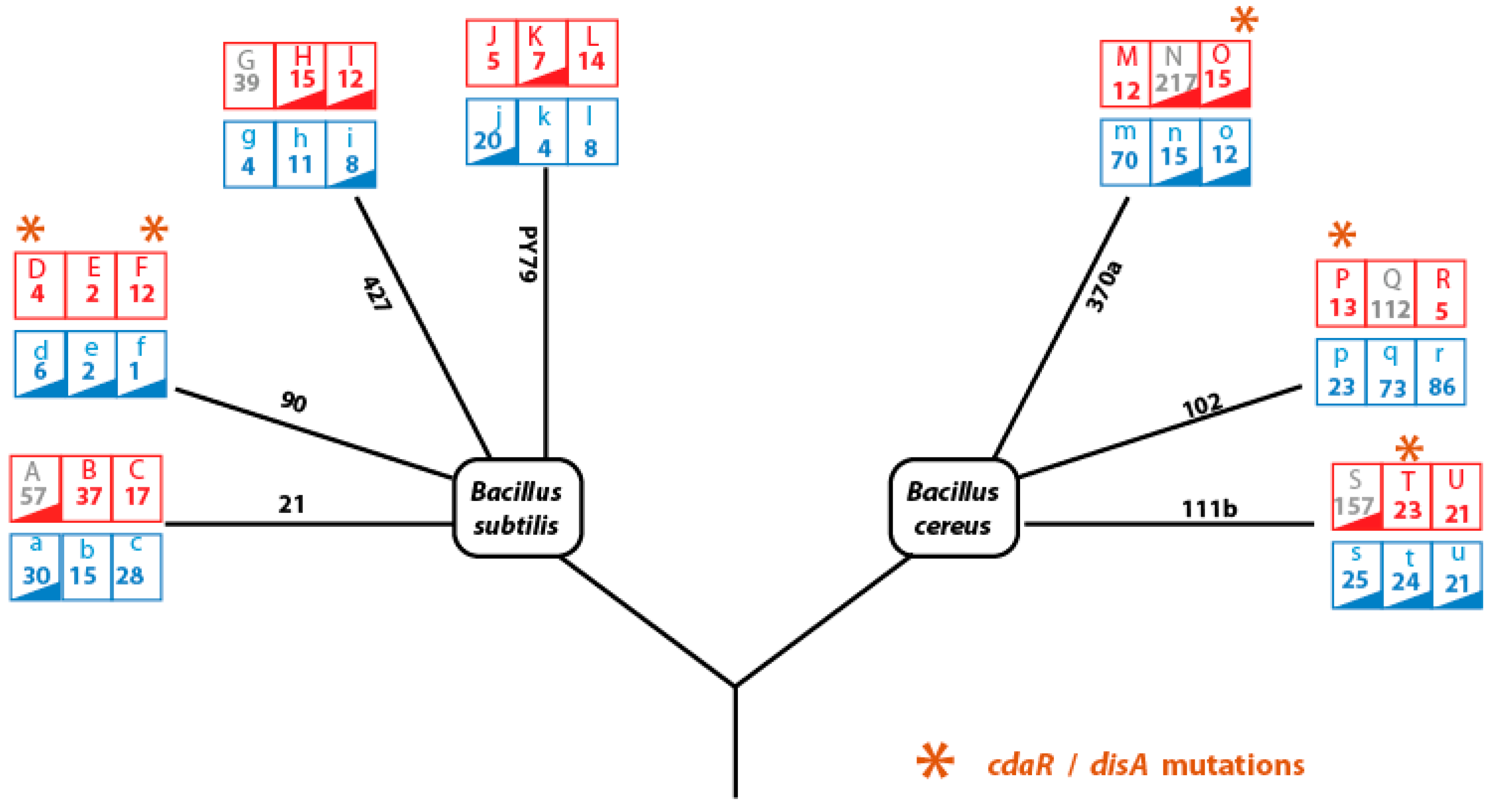 Preprints 140837 g006