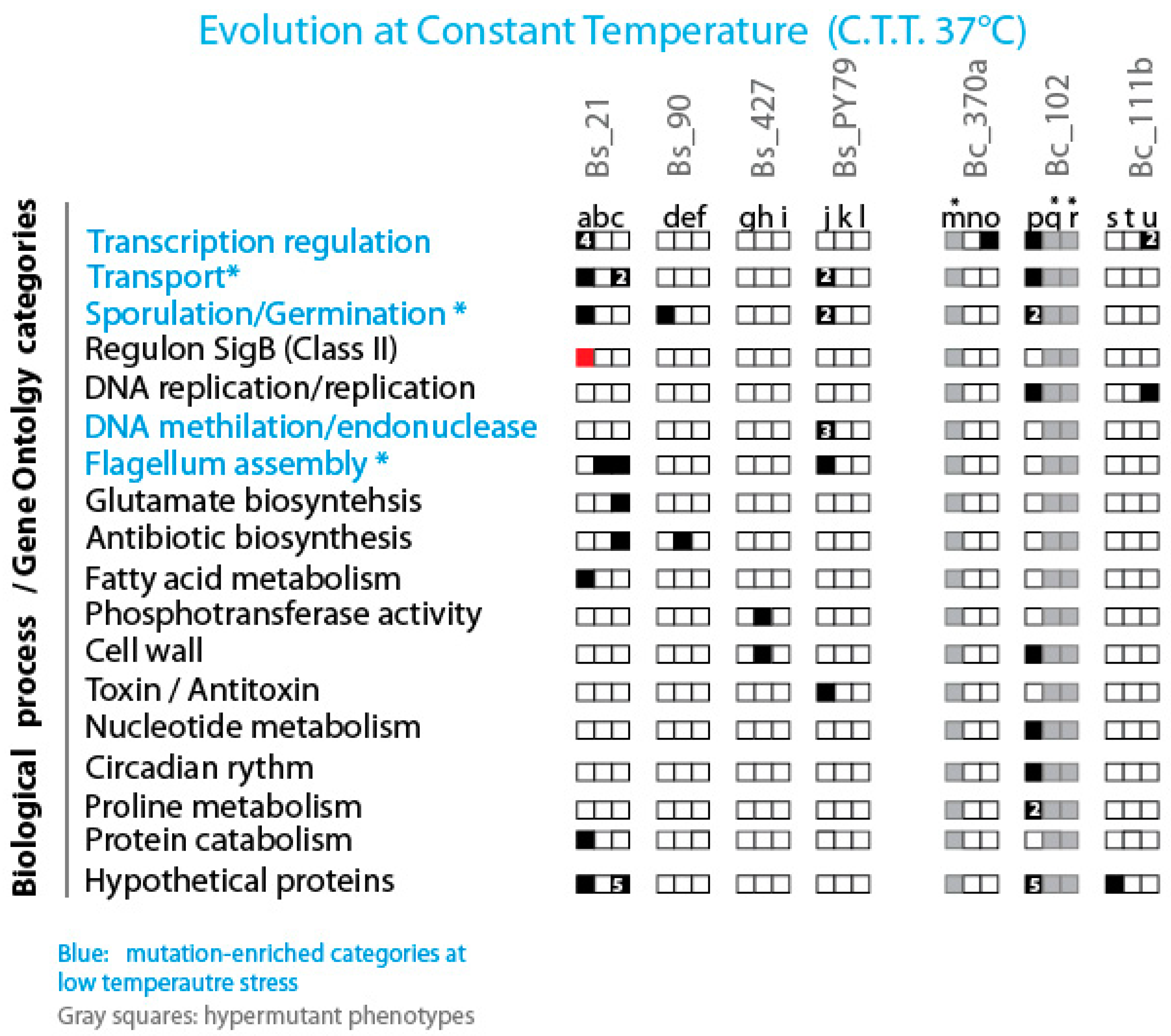 Preprints 140837 g007