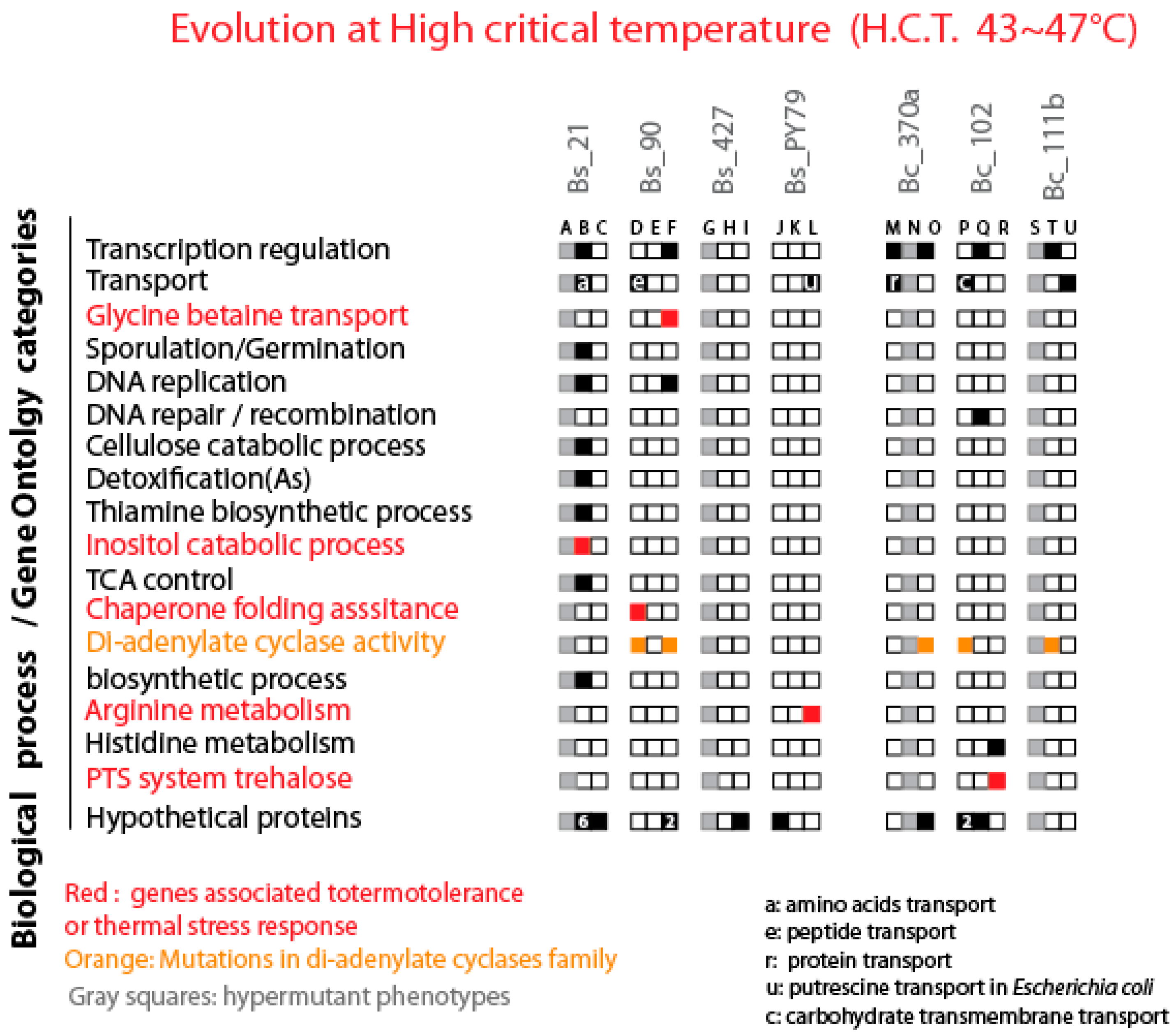 Preprints 140837 g008