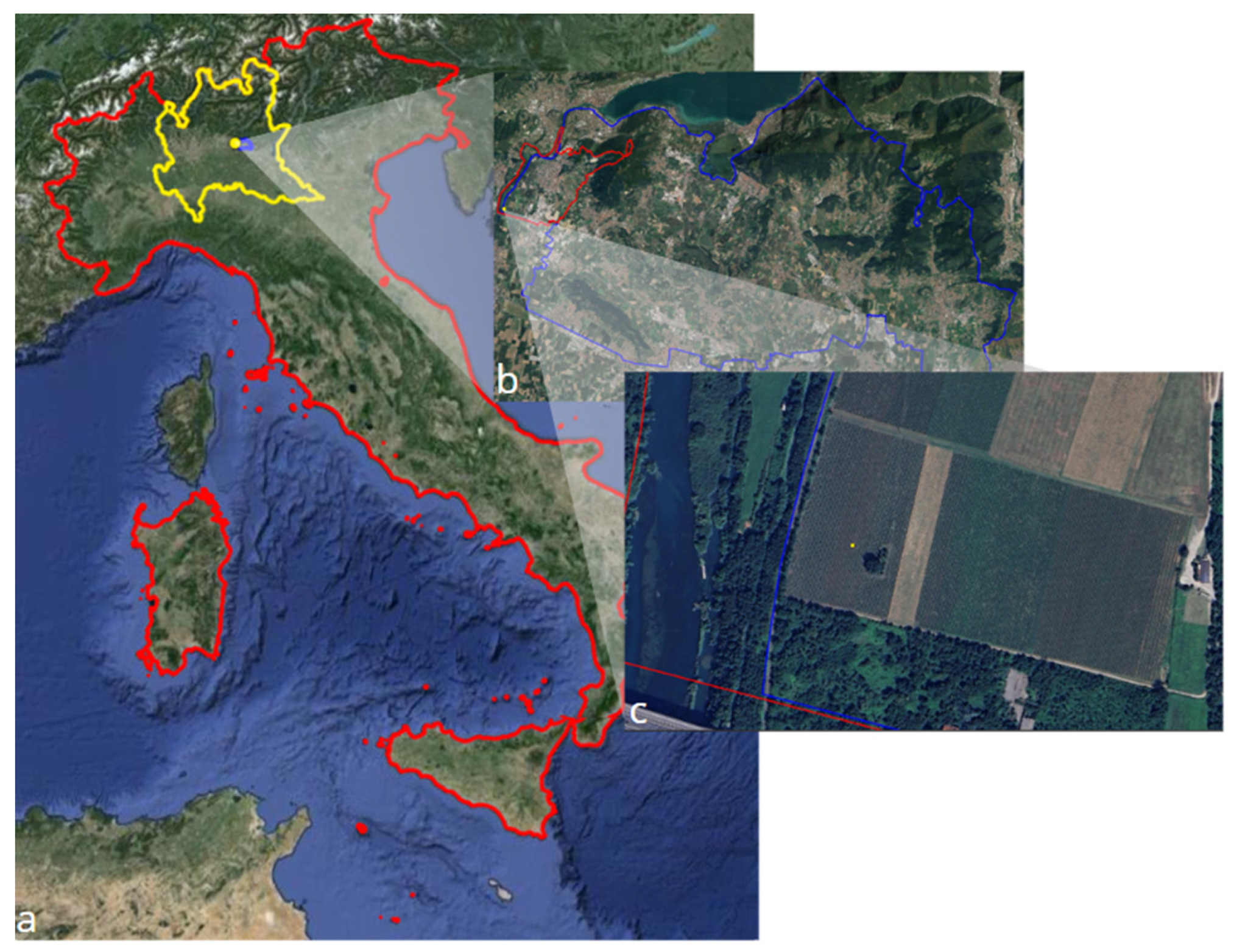 Preprints 138792 g001