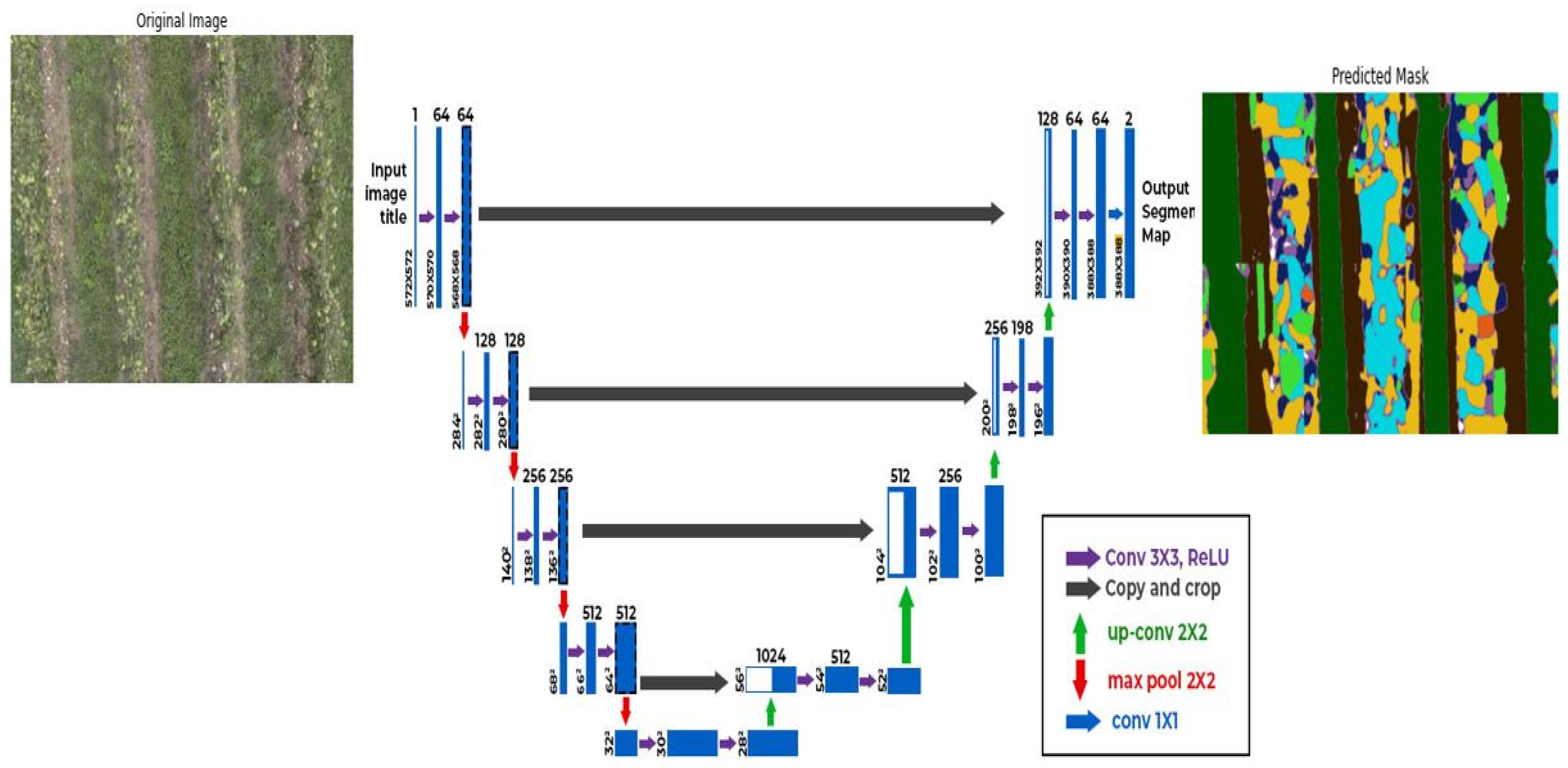 Preprints 138792 g004