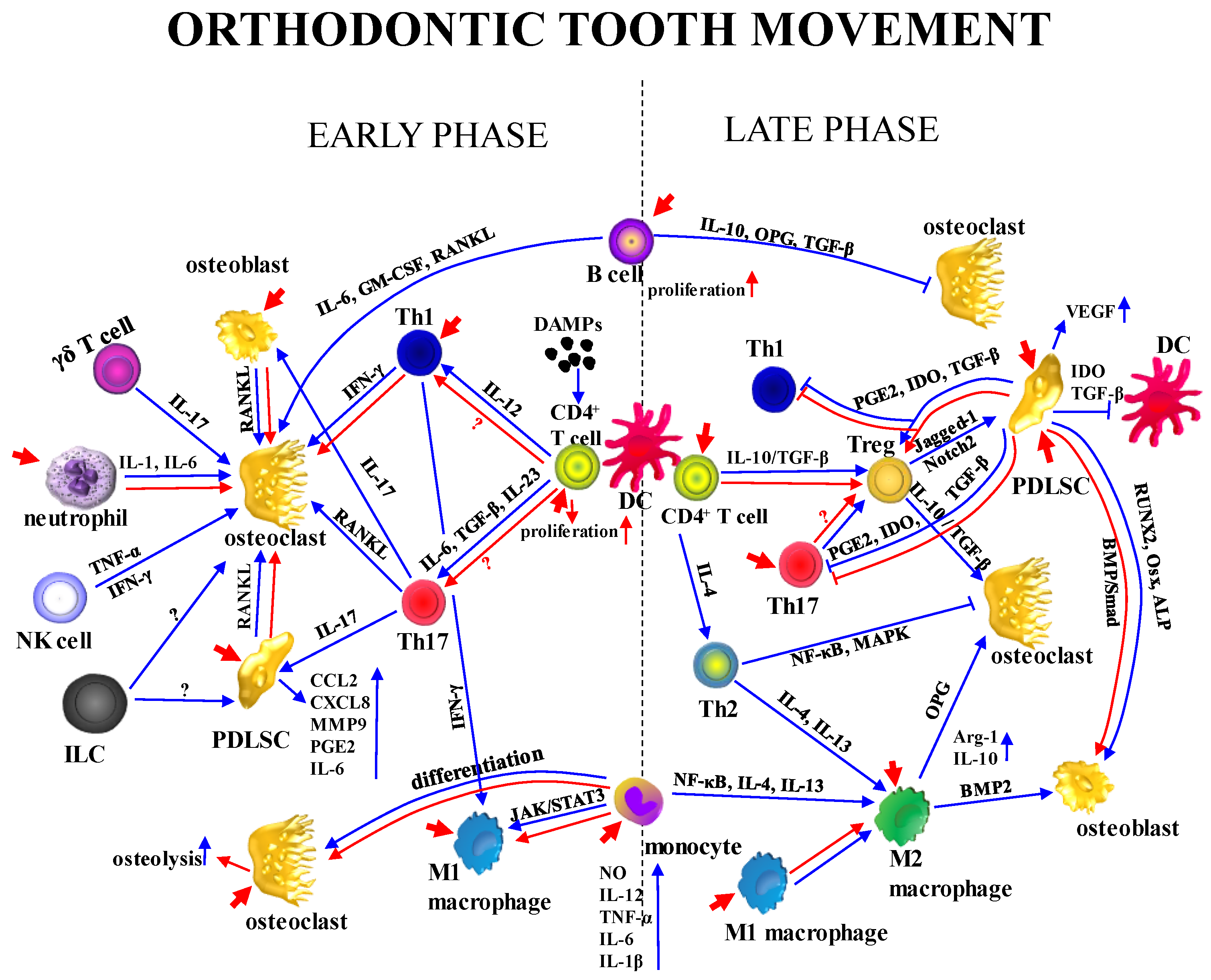 Preprints 172225 g001