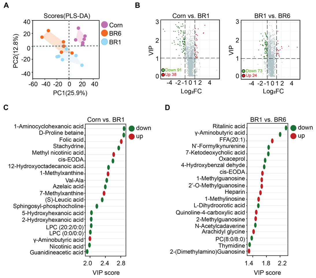 Preprints 164081 g001
