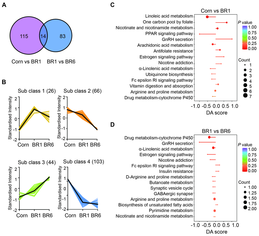 Preprints 164081 g002