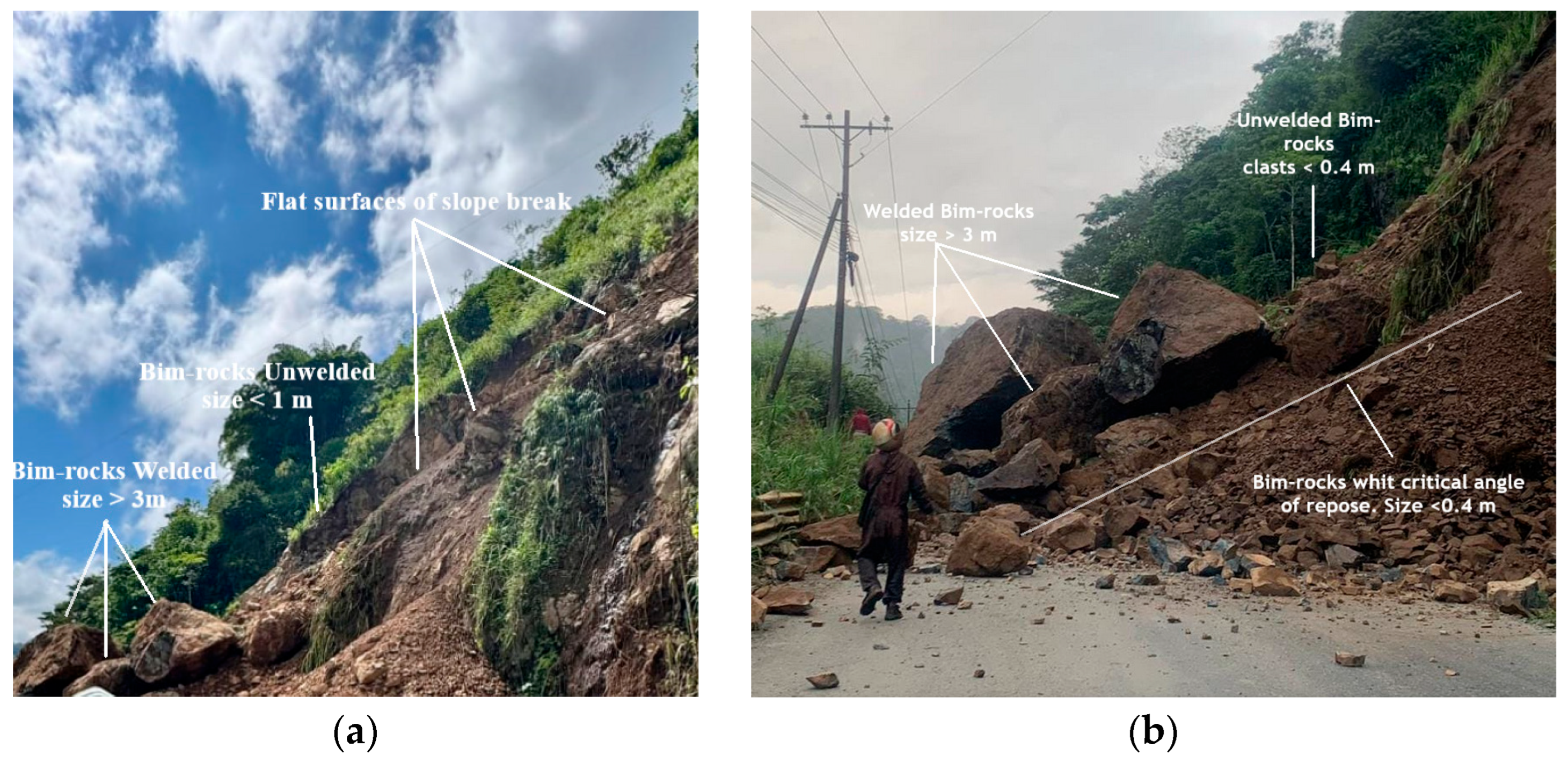 Preprints 163238 g003